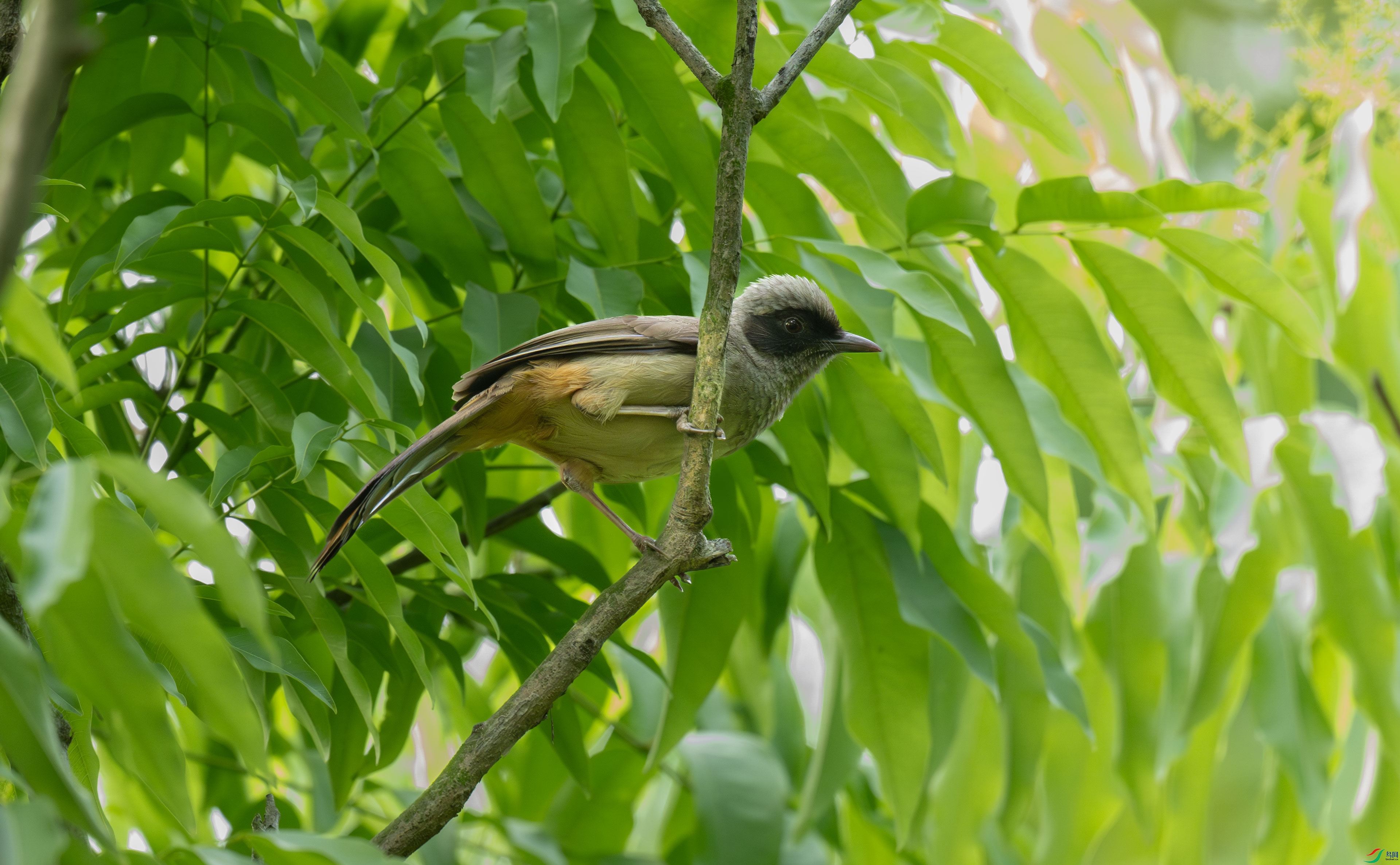 DSC_7652-1.jpg