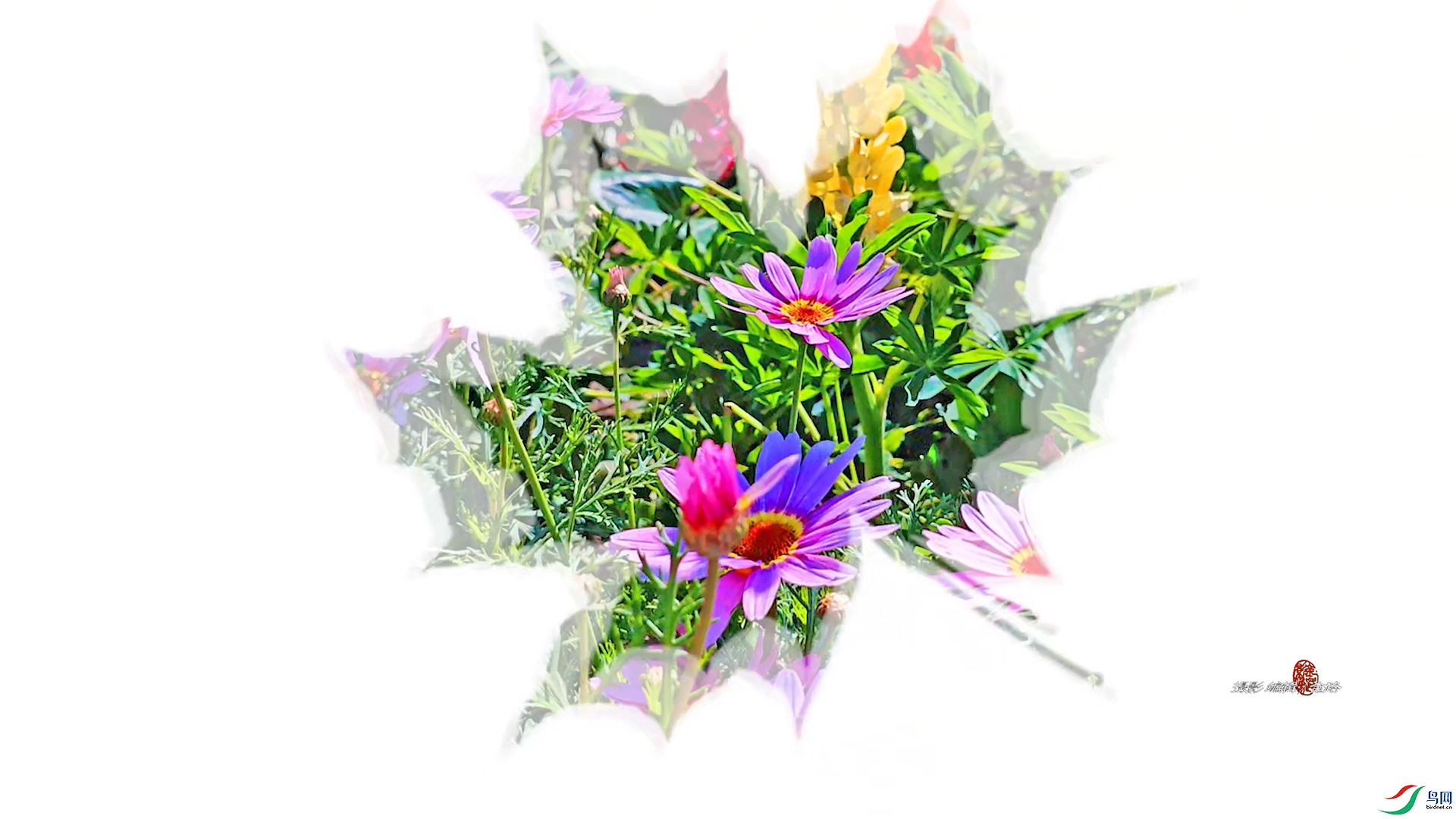 �����������ĳ�С��Ӱ.00_00_01_25.Still002.jpg