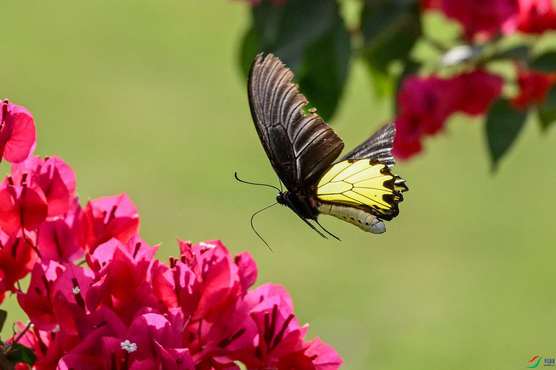 DSC_3585.JPG