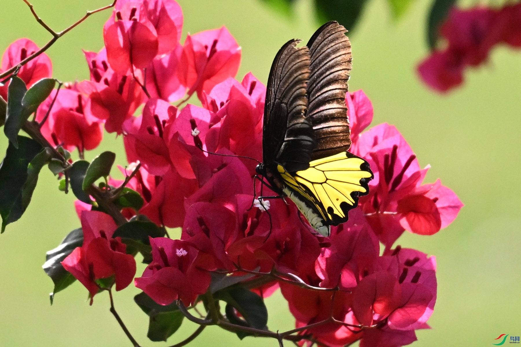 DSC_3589.JPG