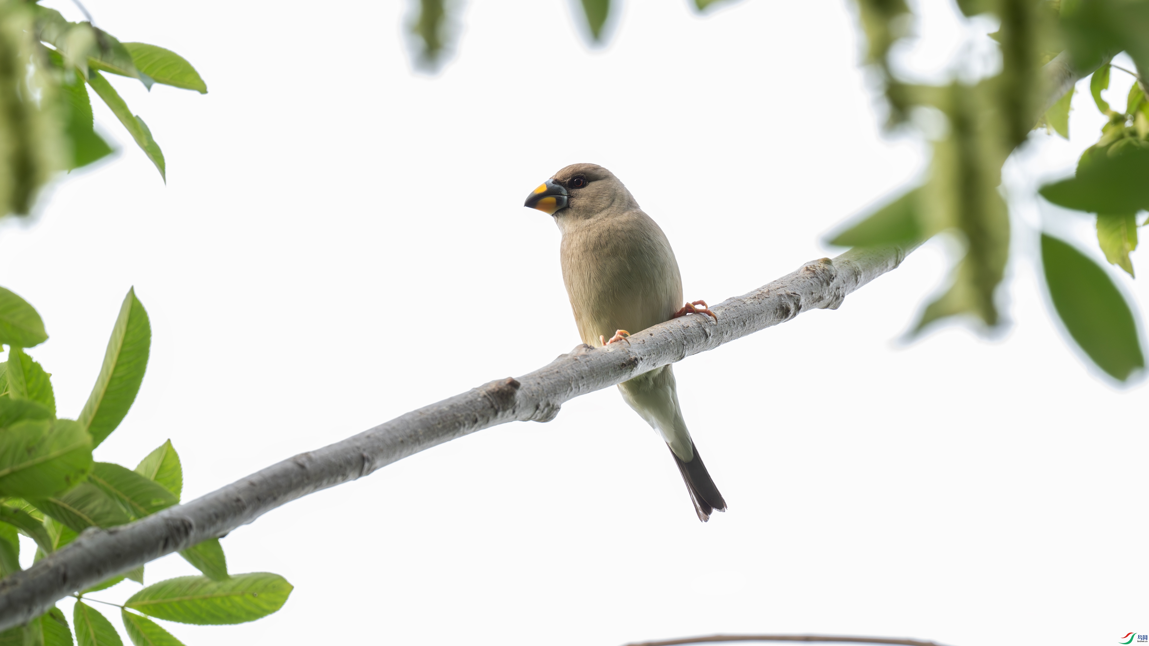 DSC_7578.jpg
