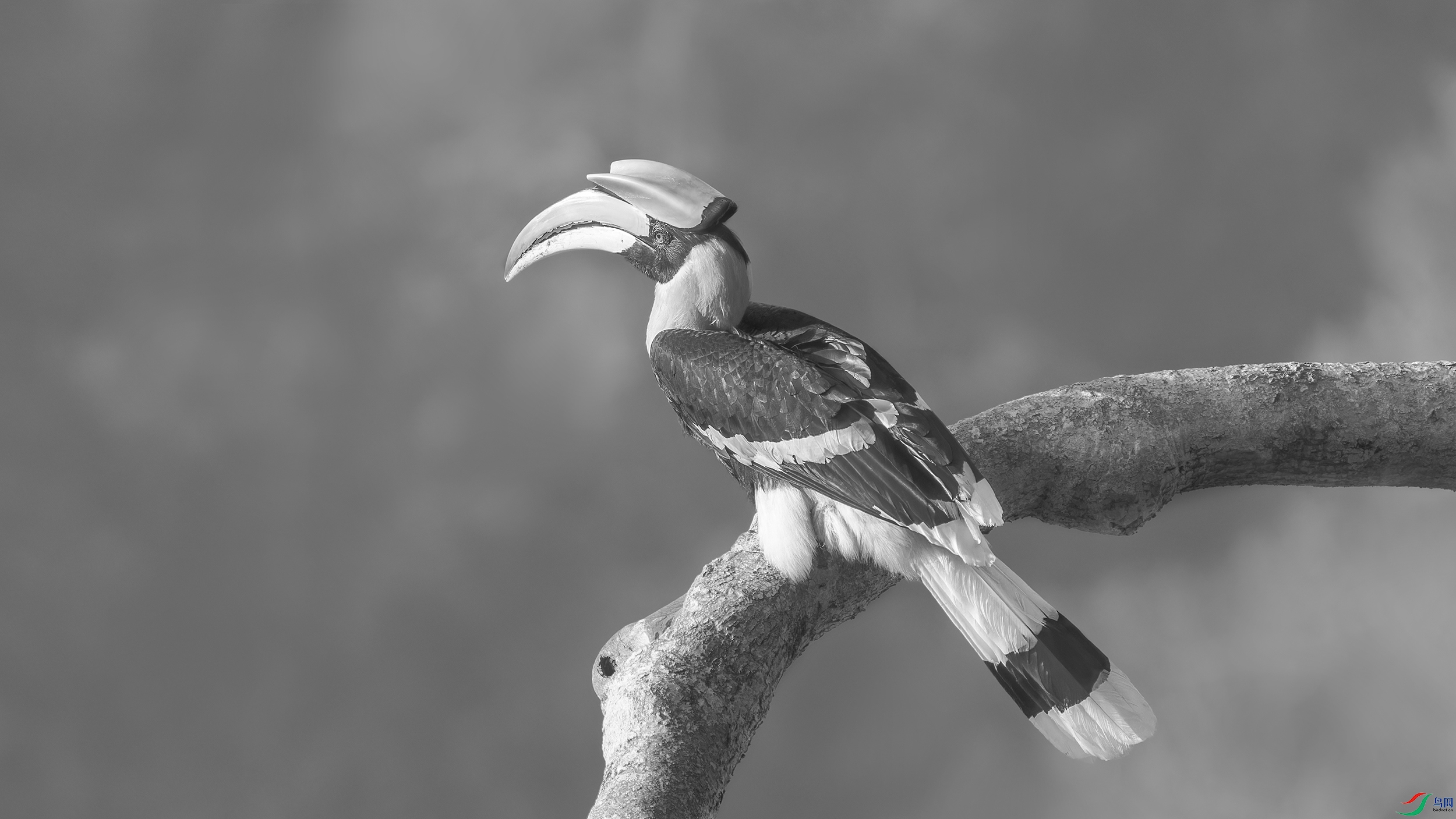 DSC_9400_DxO.jpg