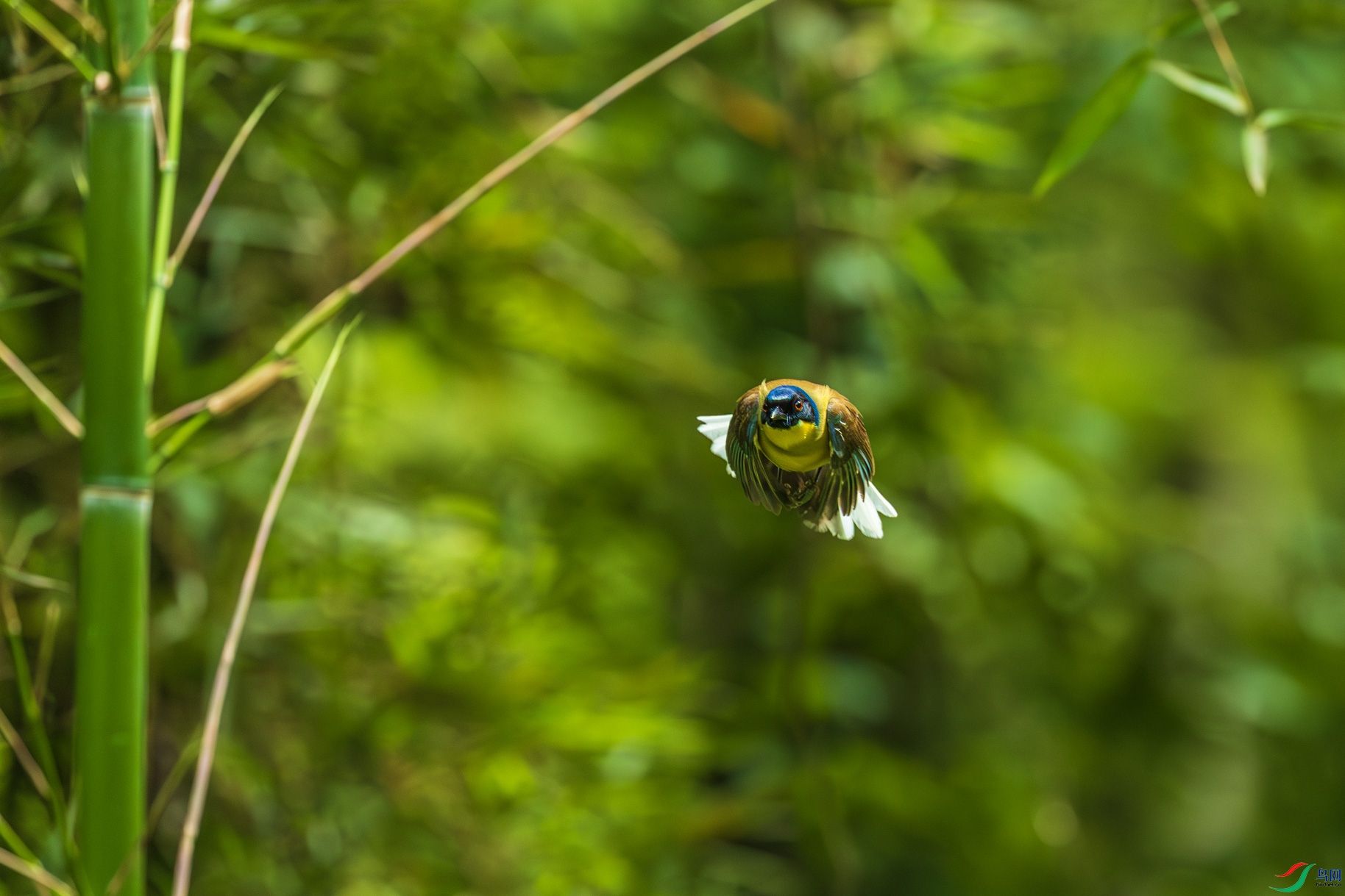 0B0A7348.jpg