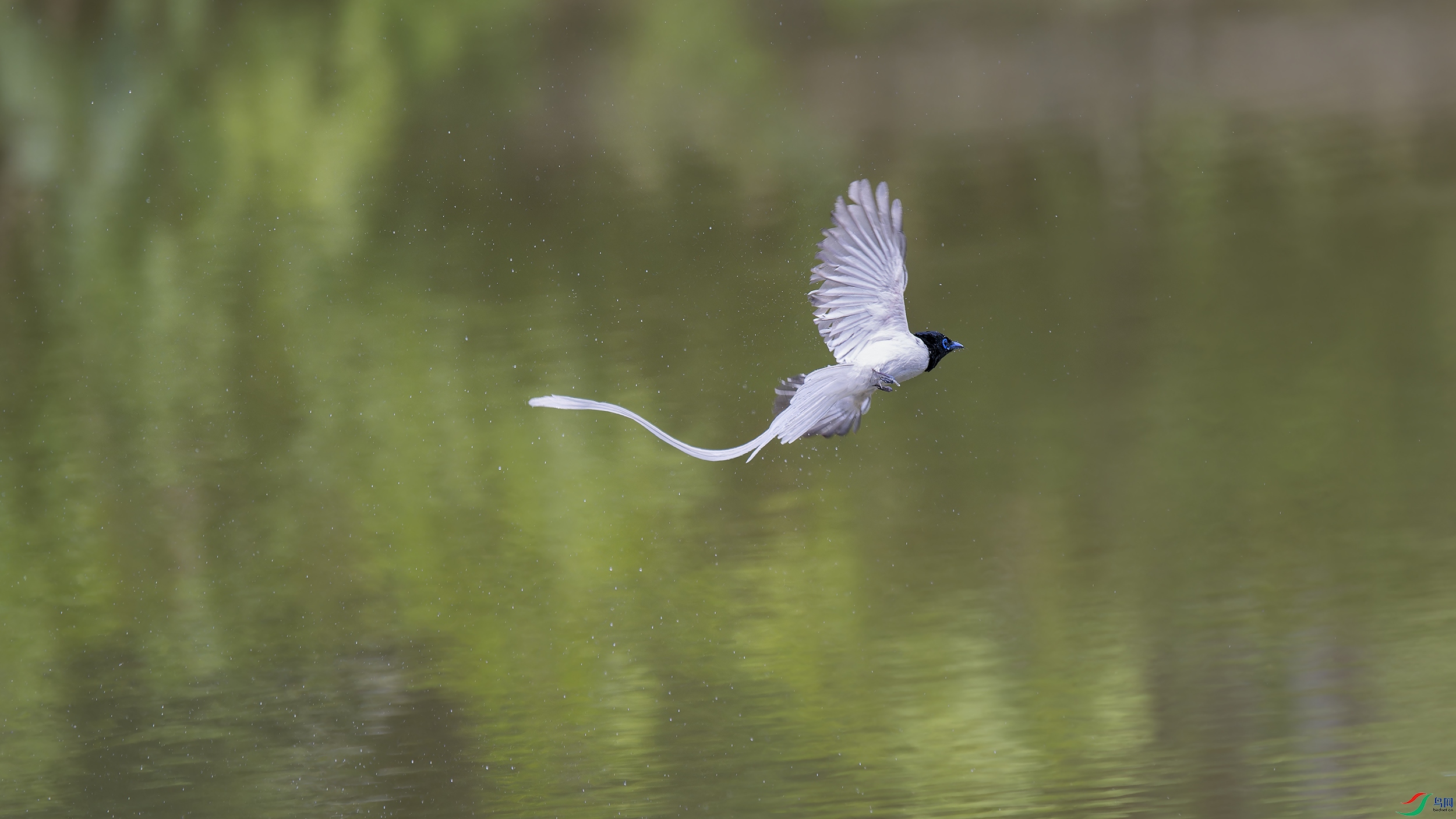 DSC_3844_DxO.jpg