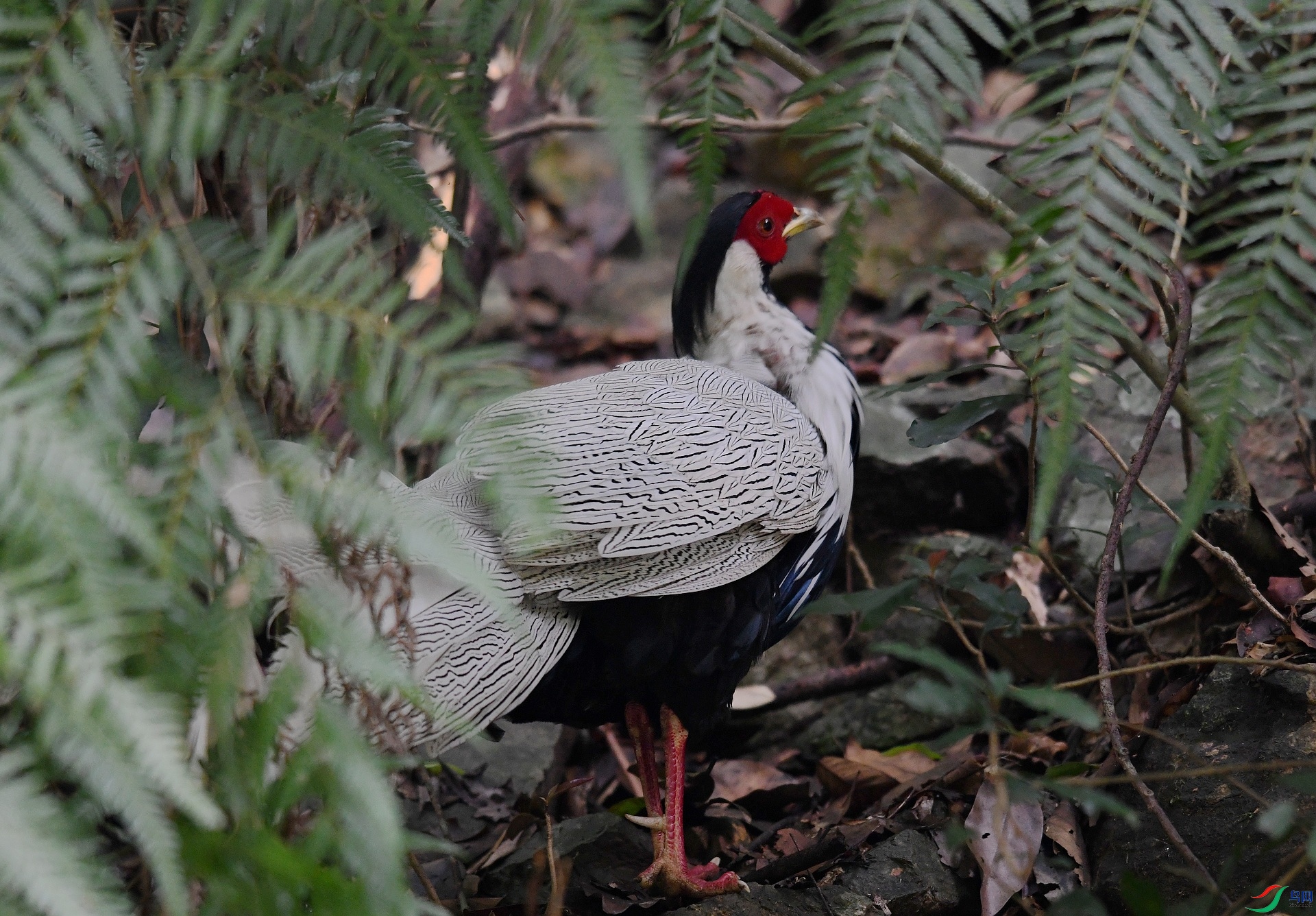 DSC_7349.jpg