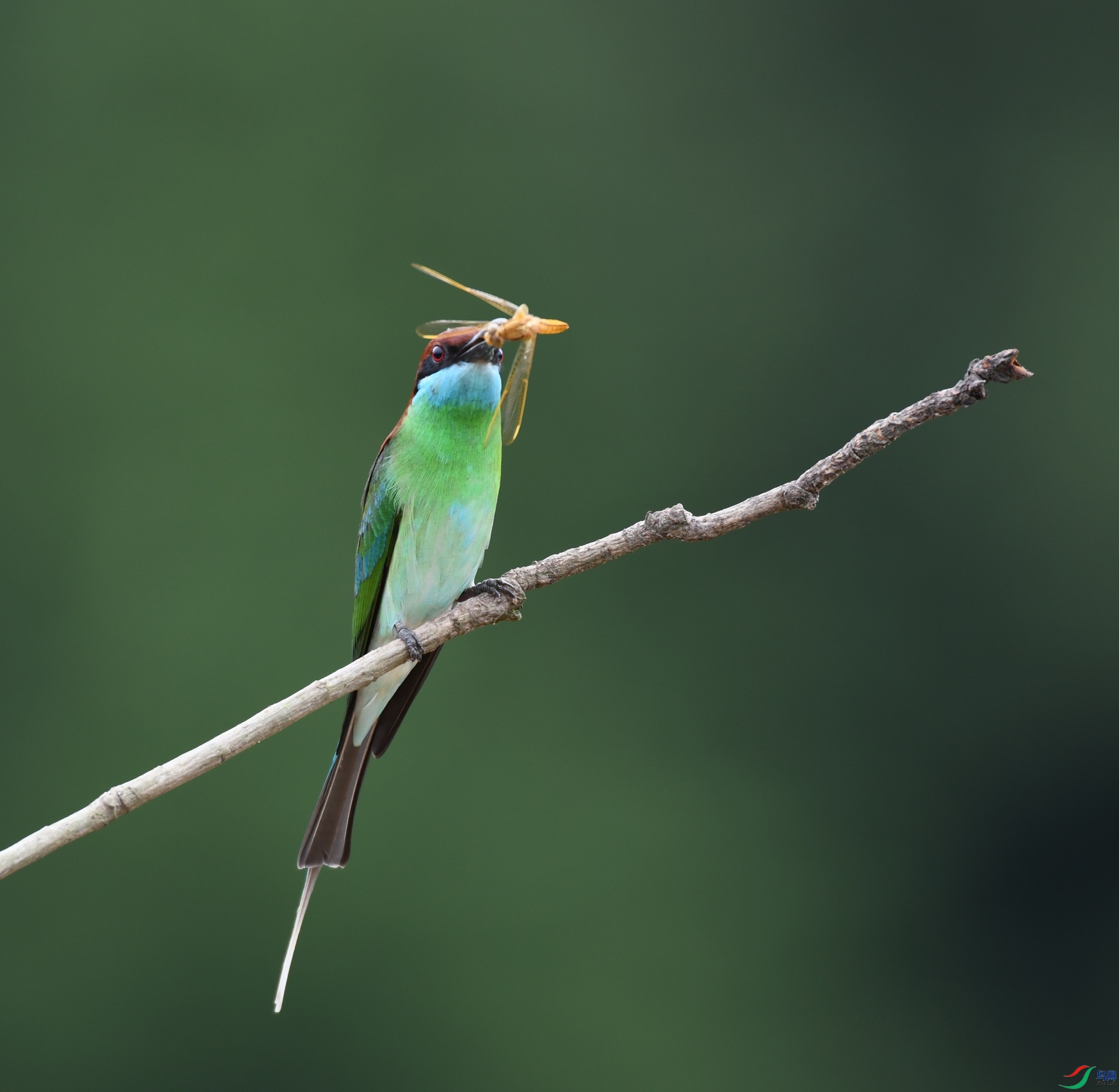 DSC_5689.jpg