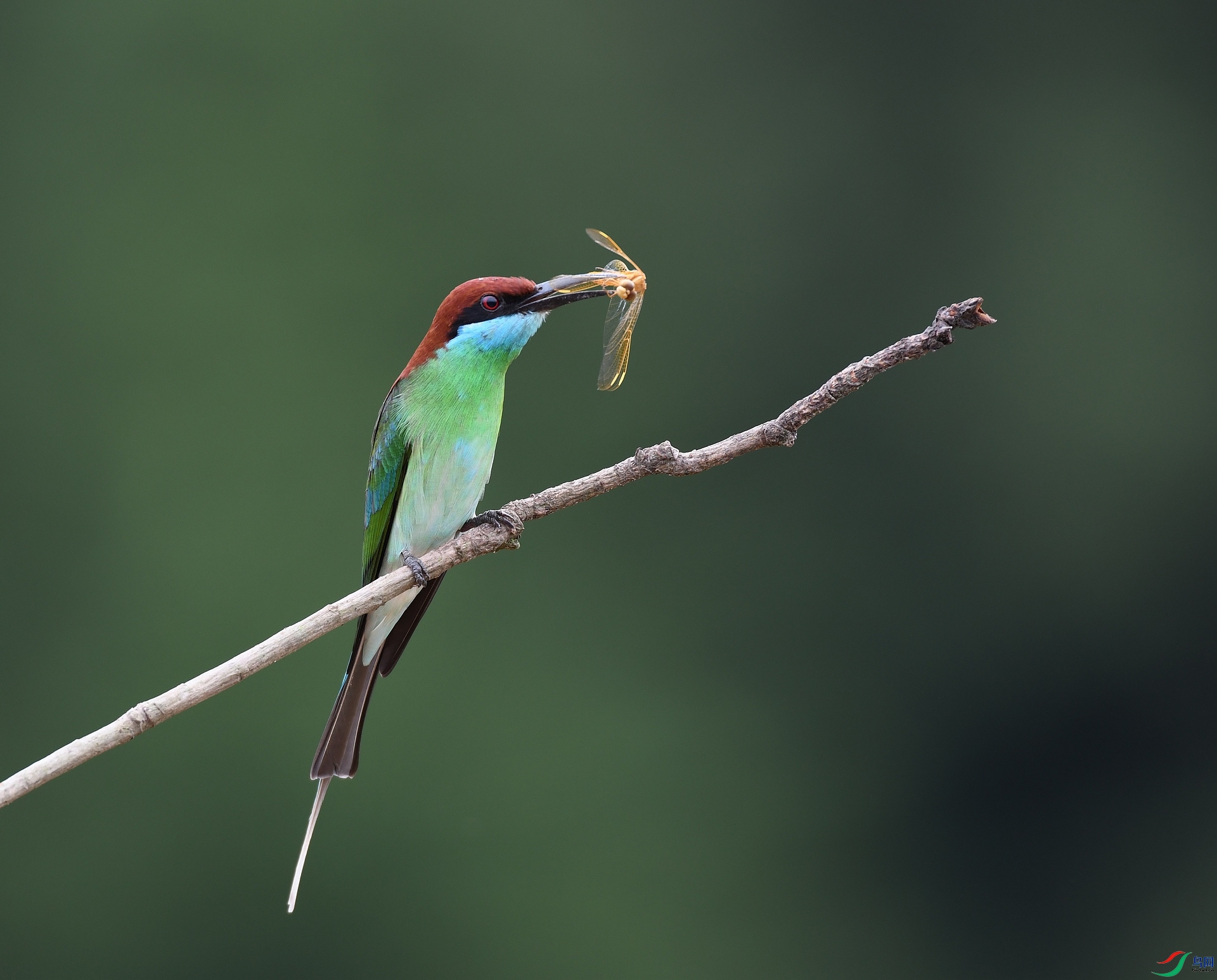 DSC_5690.jpg