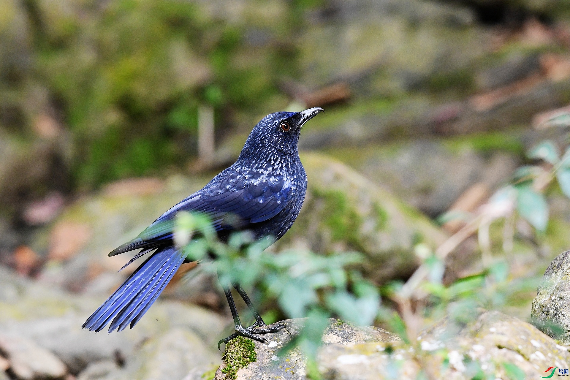 DSC_5806.jpg