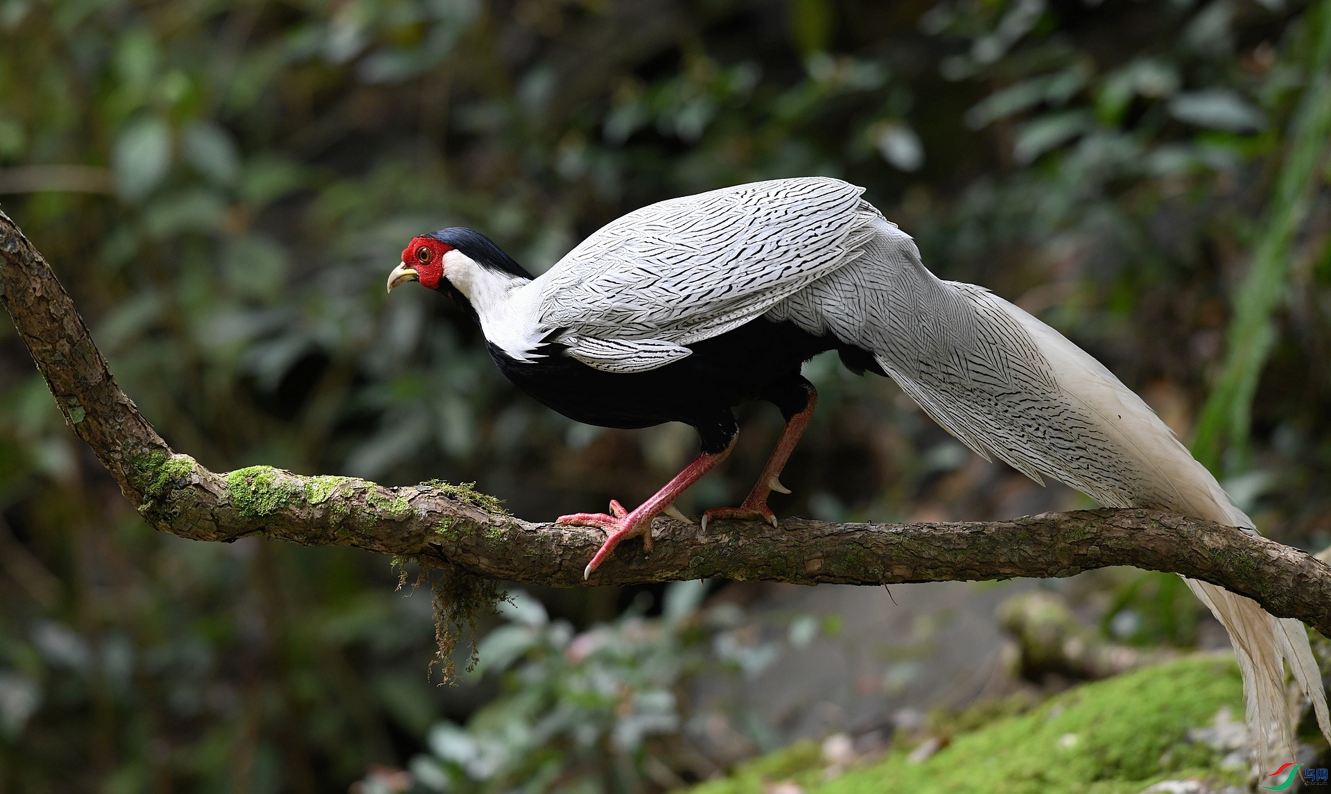 DSC_7077.jpg