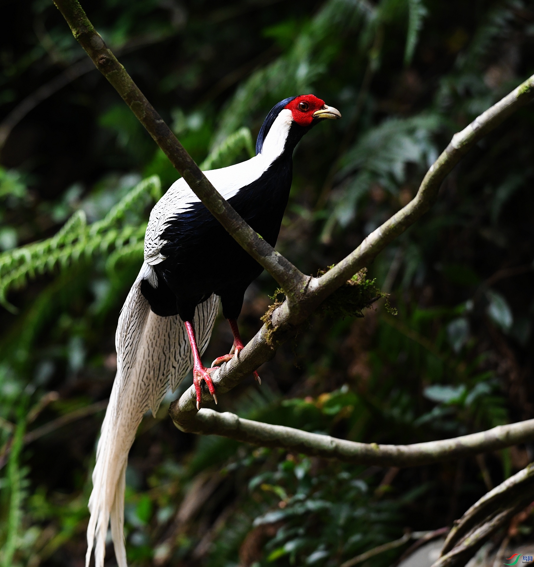 DSC_7041.jpg