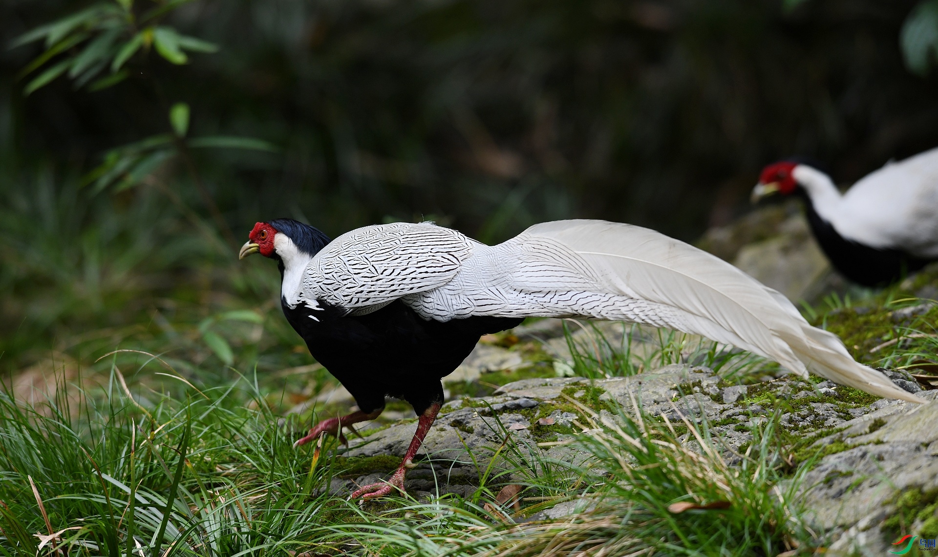 DSC_6885.jpg