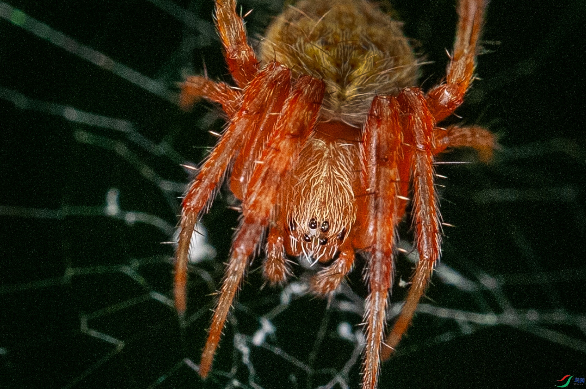 DSC_3085.jpg