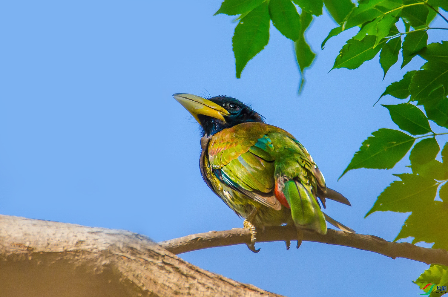 DSC_7505.jpg