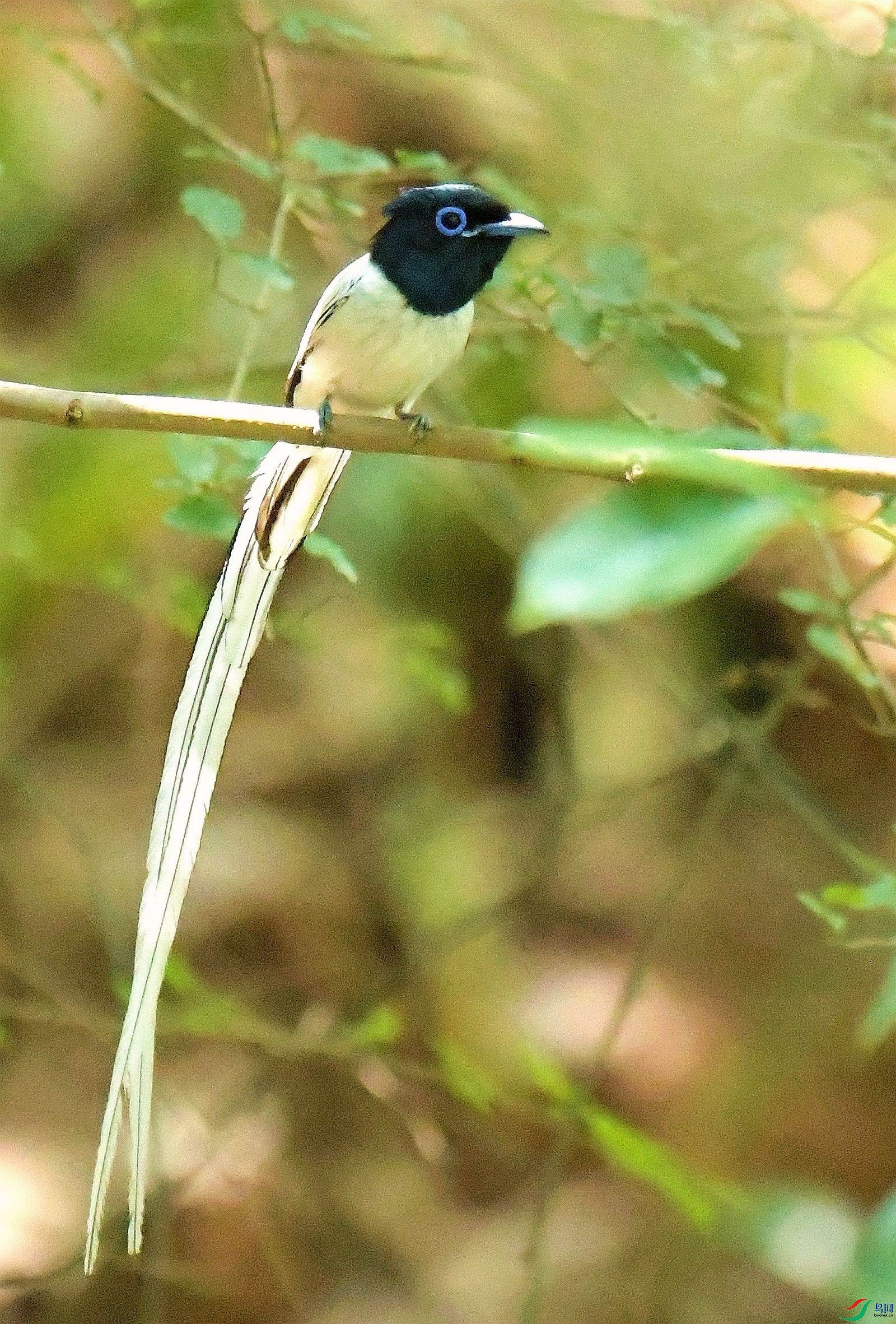 DSC_7284.JPG