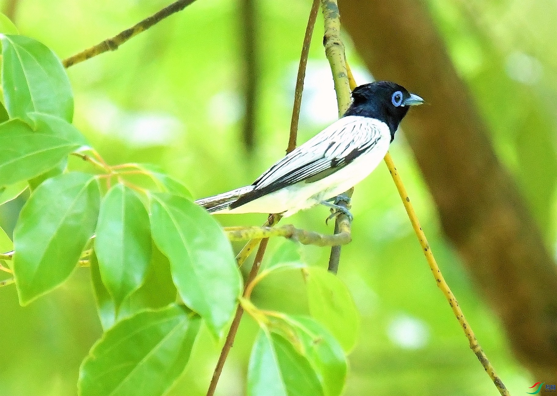 DSC_7305.JPG