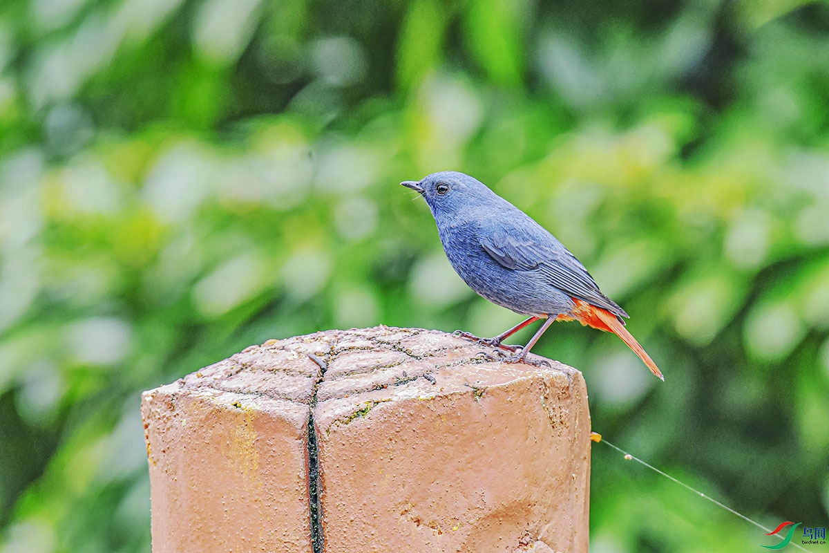 DSC_1813.jpg