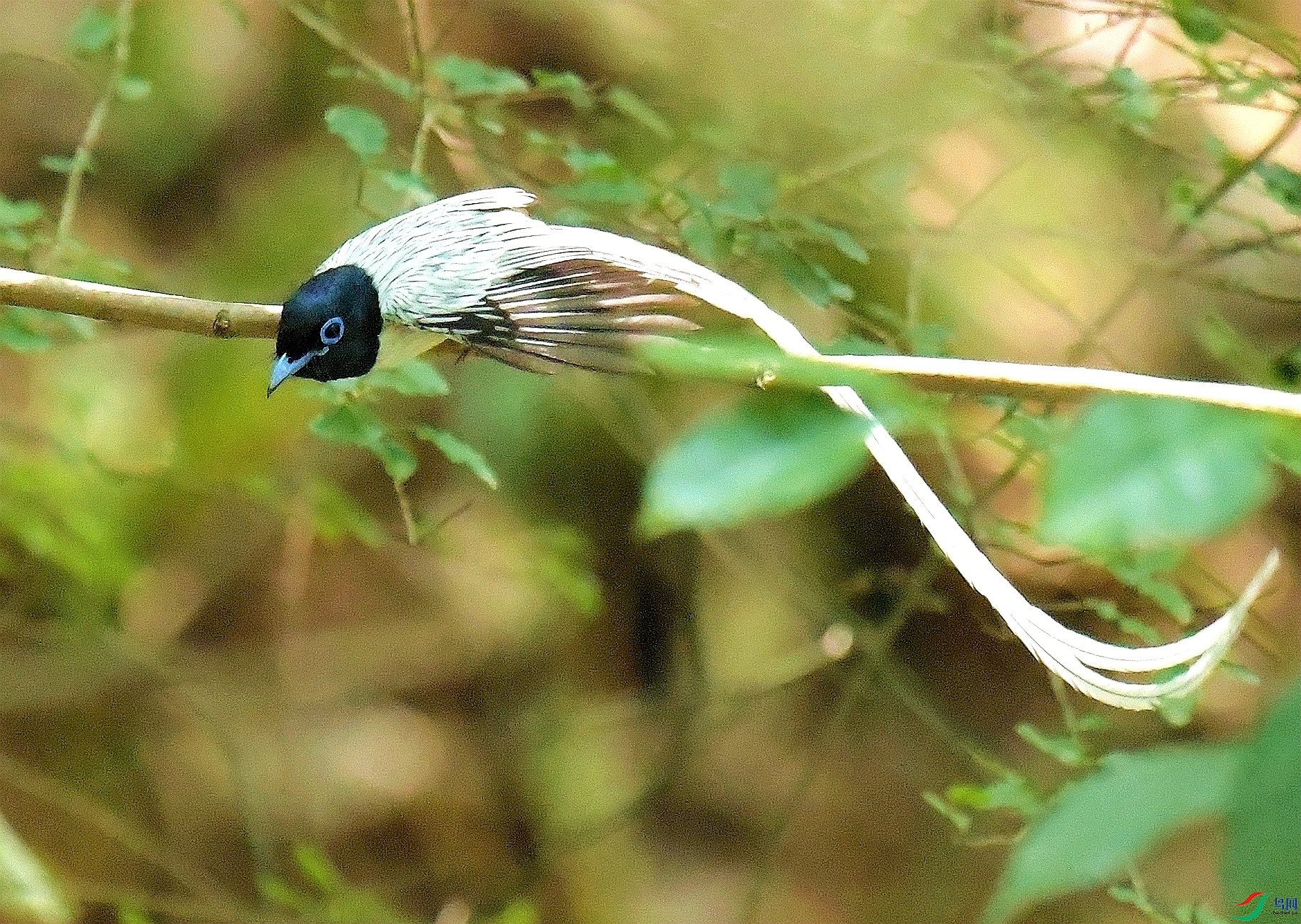 DSC_7298.JPG