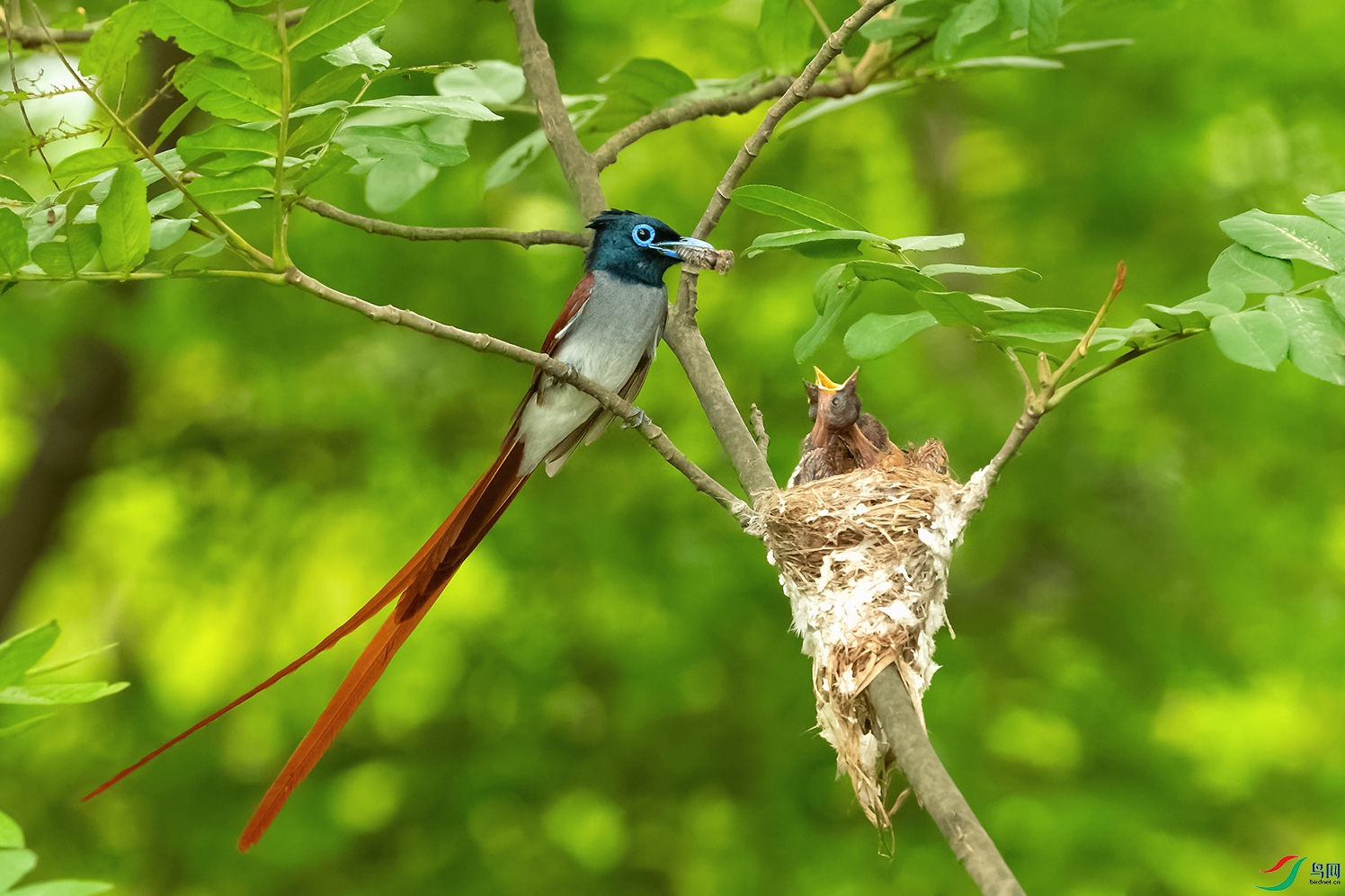 DSC_5519_DxOa.jpg