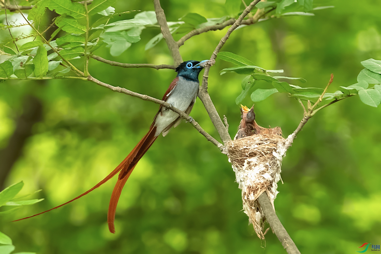 DSC_5518_DxOa.jpg