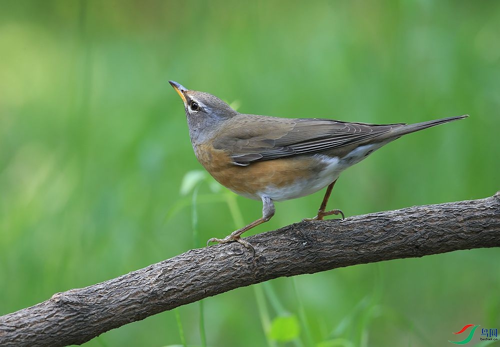 D72T4310.JPG