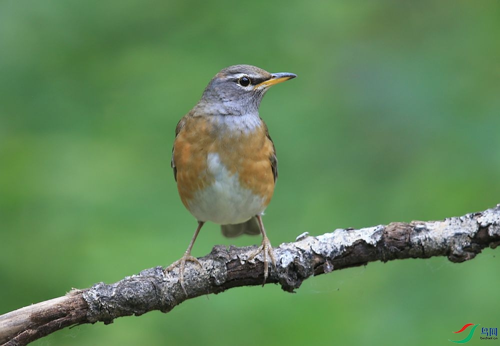 D72T4360.JPG