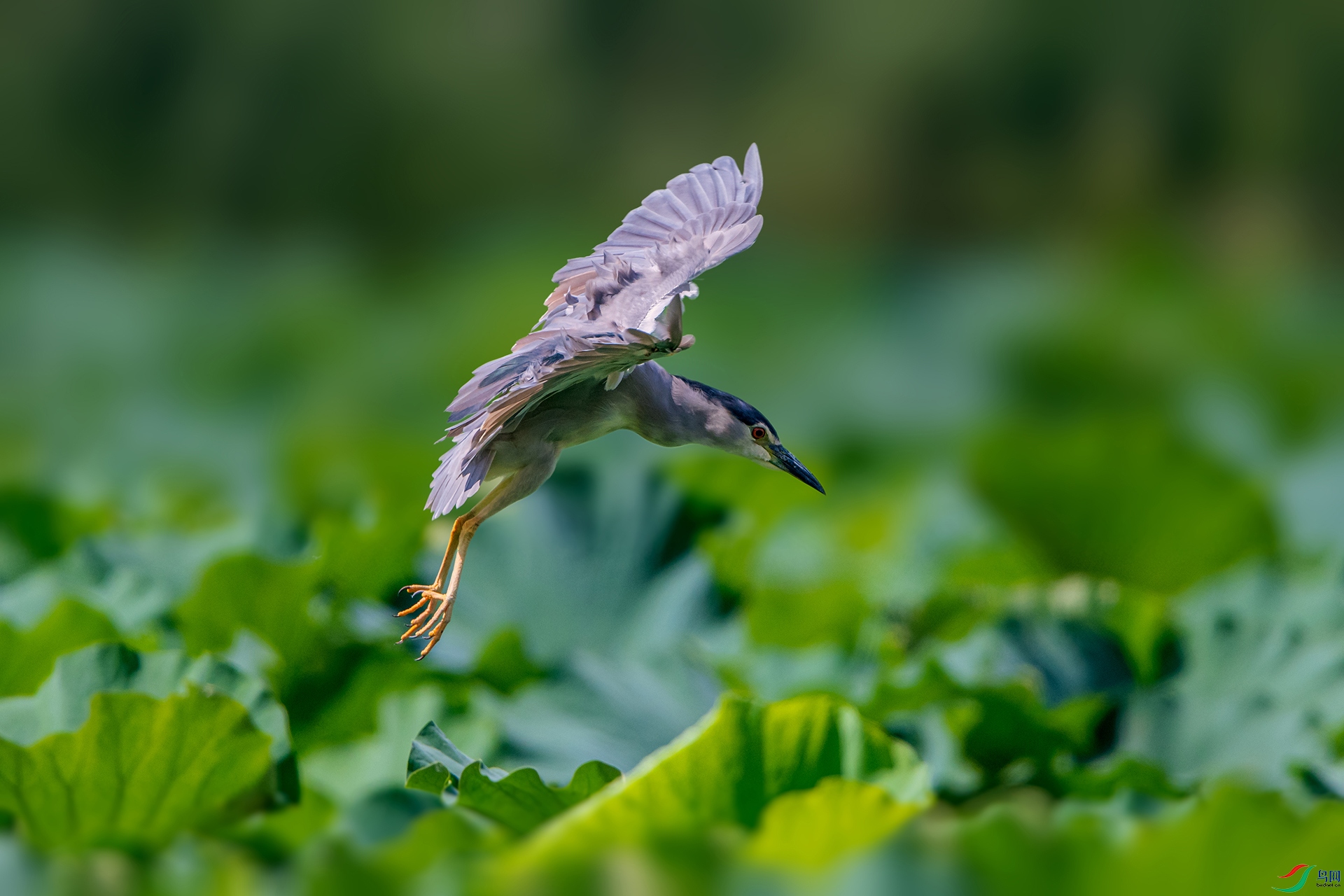 _AUU9888ҹ��(24.8.29).jpg