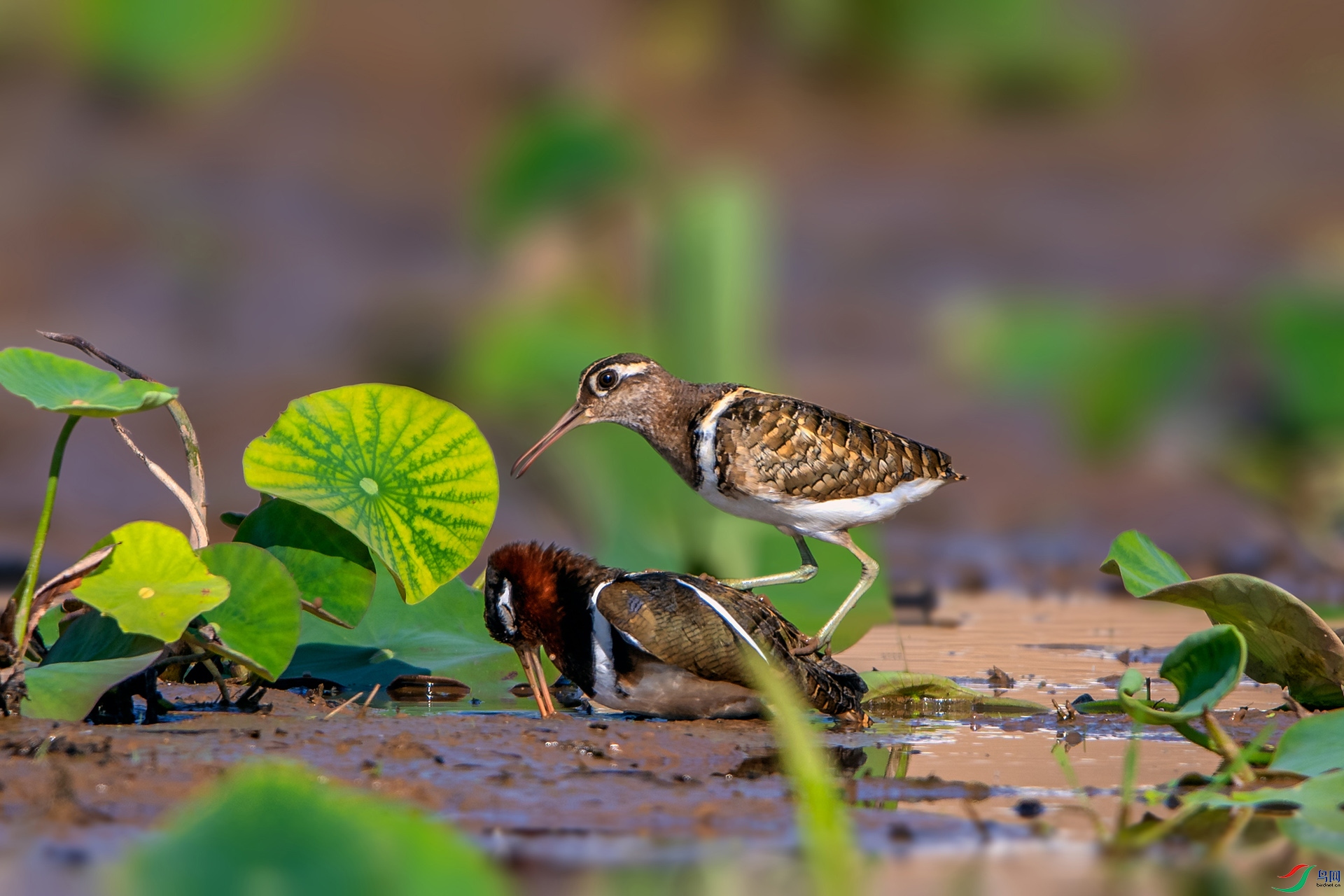 _AUU2898����ʱ��(24.5.5).jpg