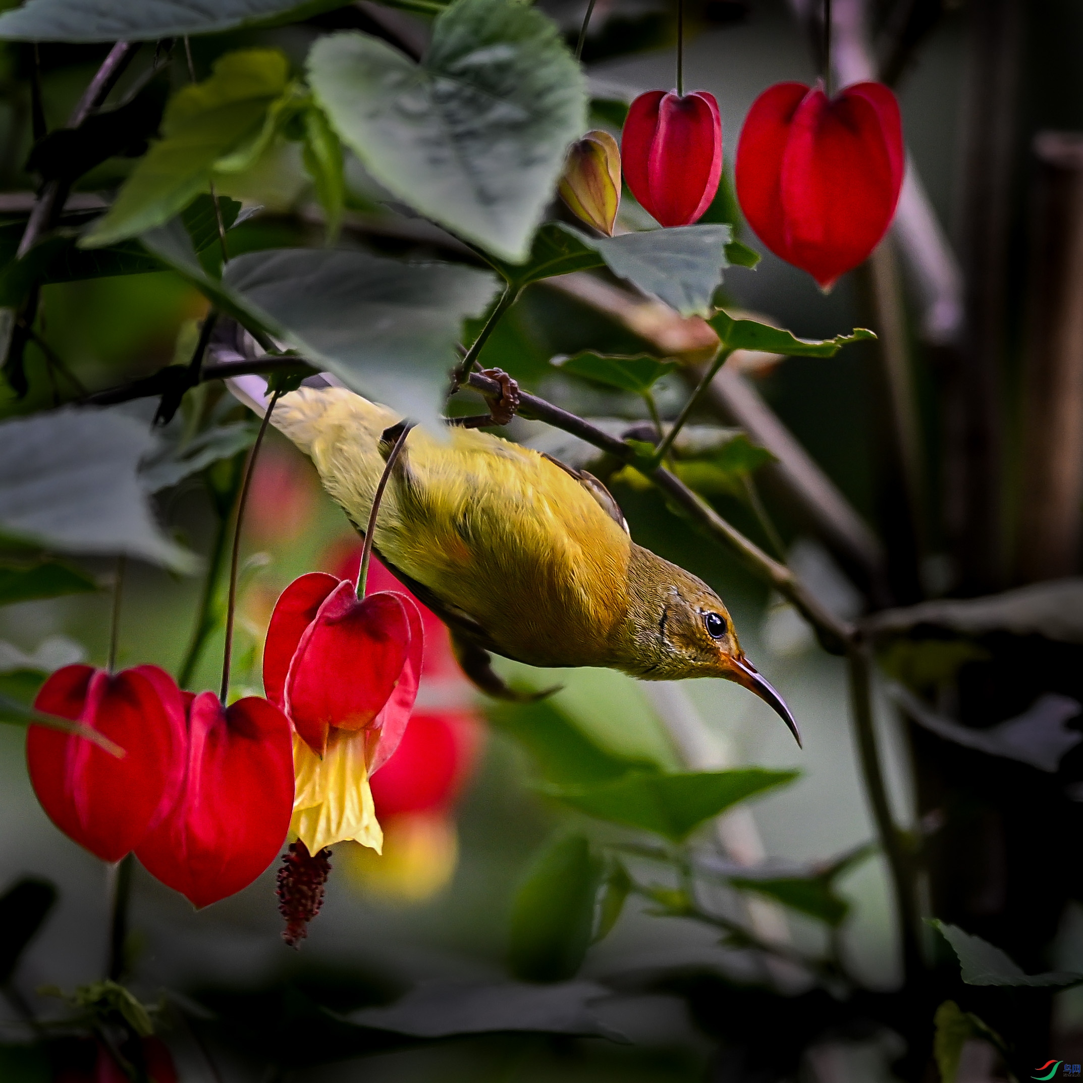 DSC_4713.jpg
