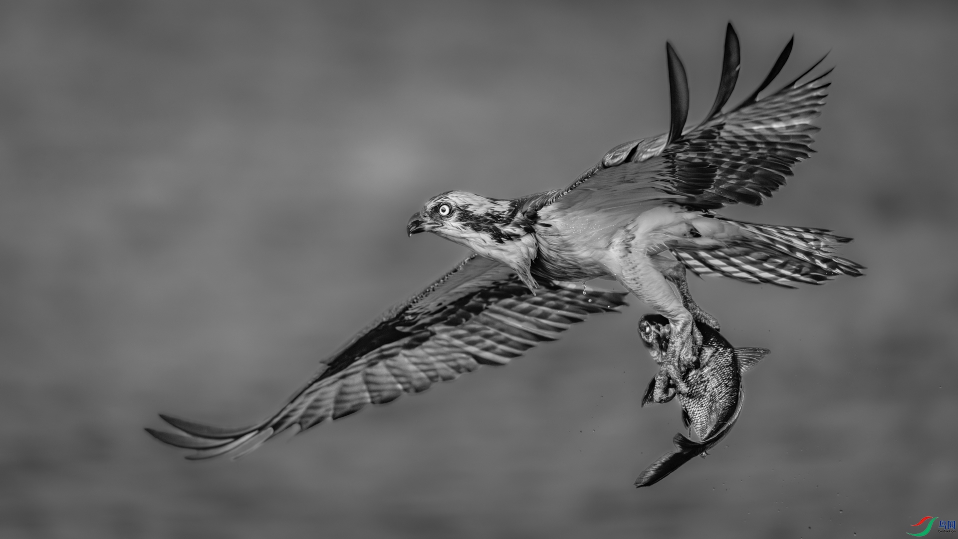9I6A2845_1.jpg