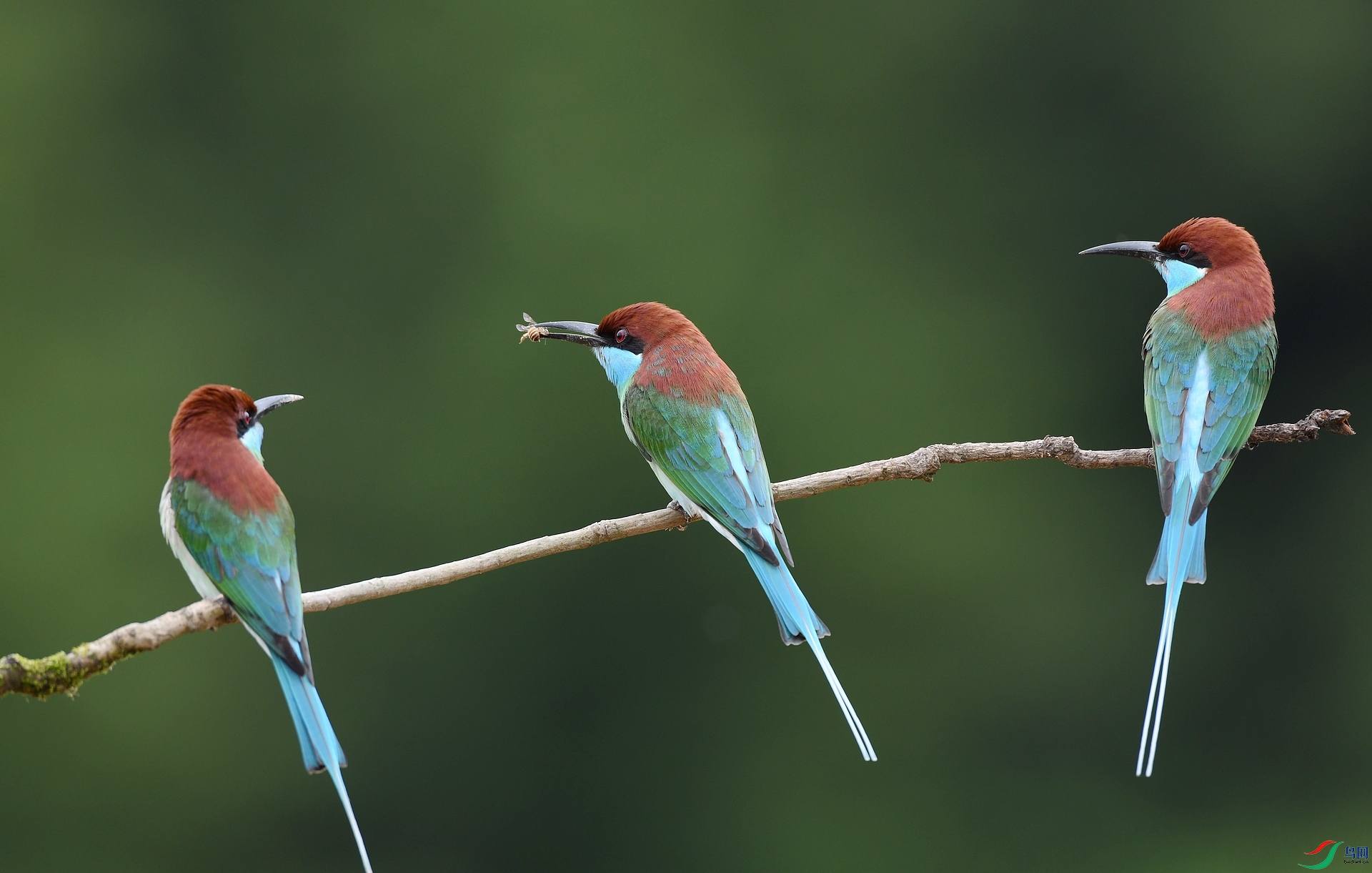 DSC_5918.jpg