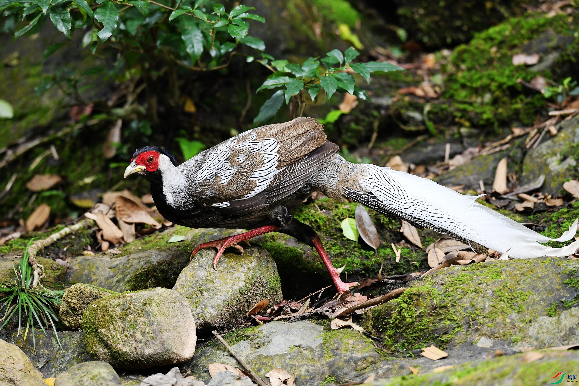 DSC_0619.jpg