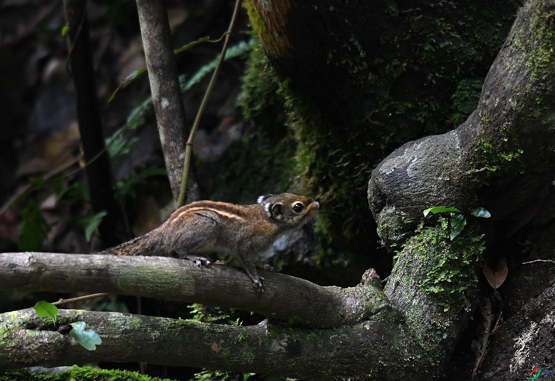 DSC_3670.jpg