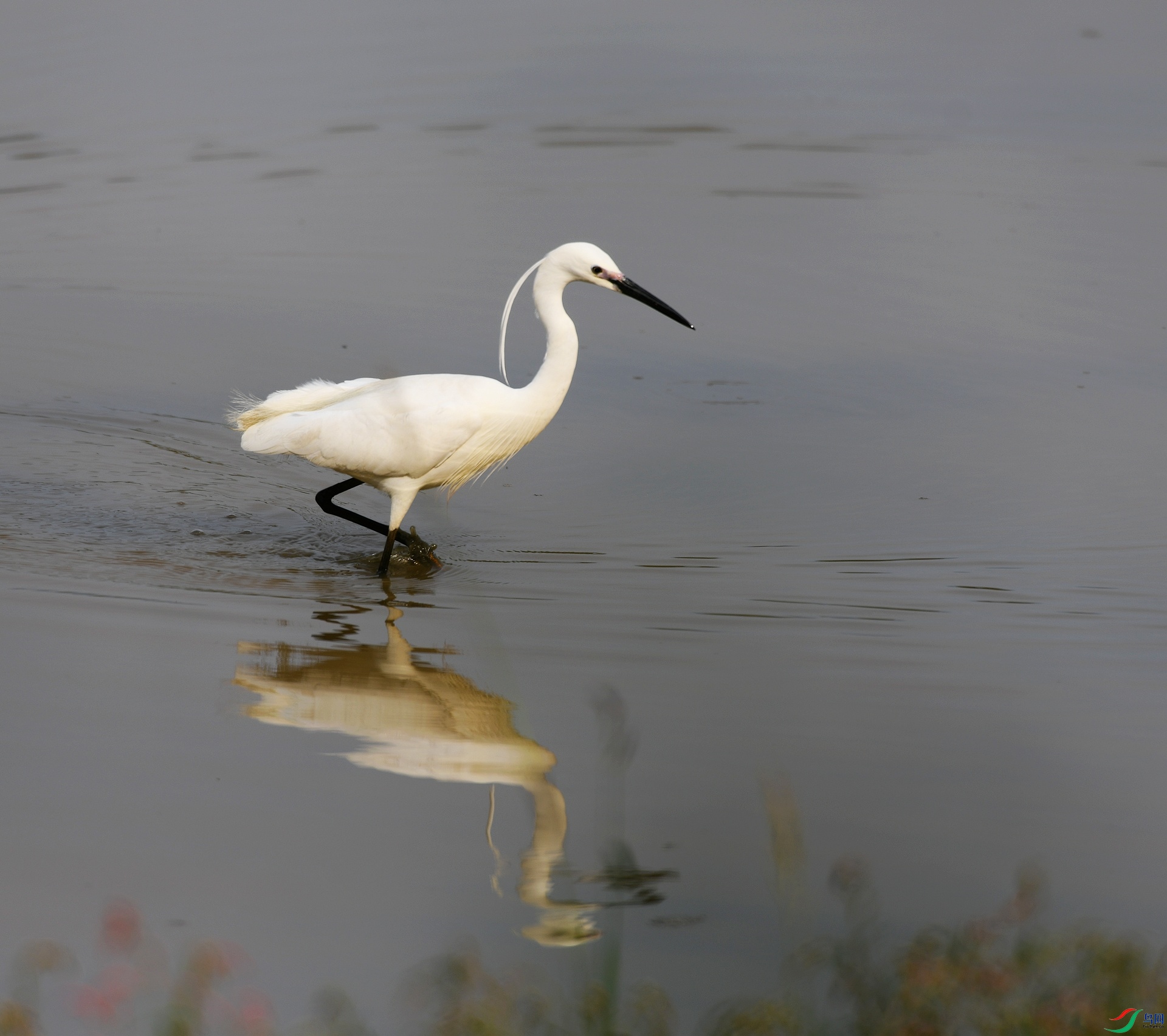 DSC_8311.jpg