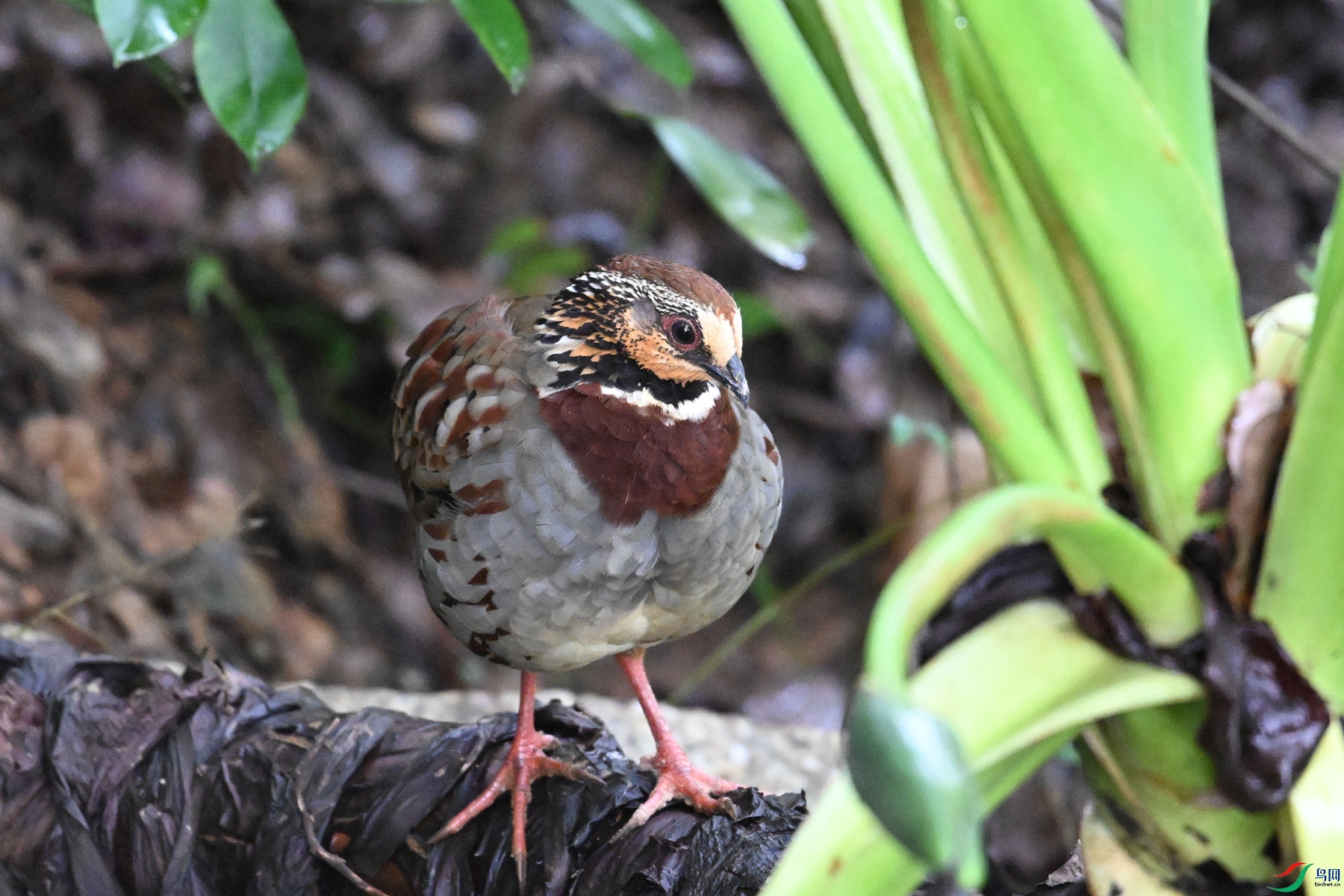 DSC_3714.JPG
