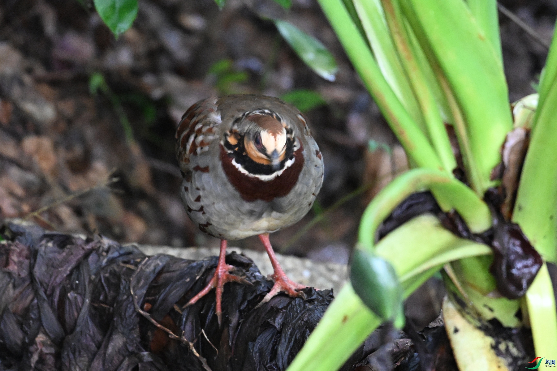 DSC_3744.JPG