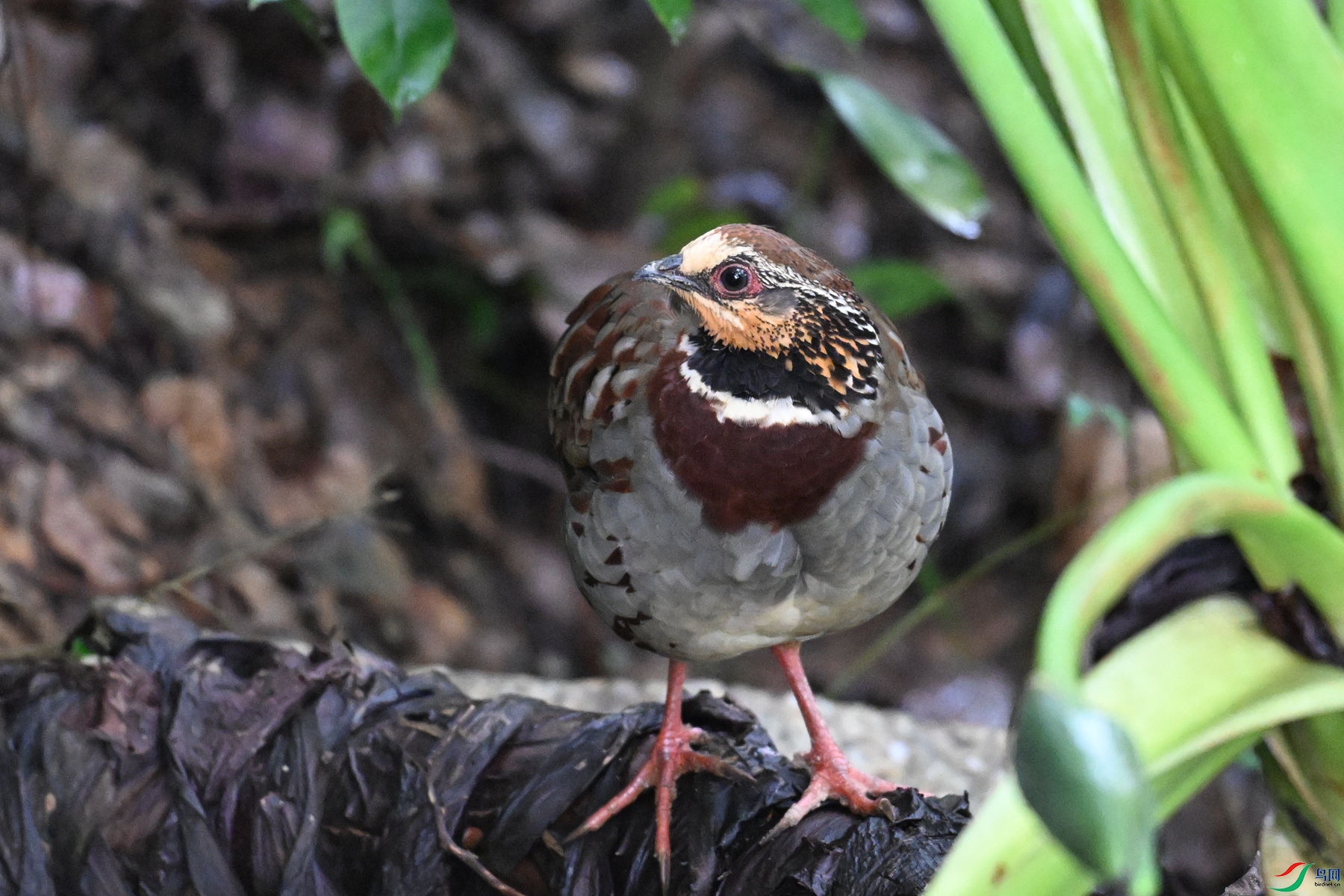 DSC_3719.JPG