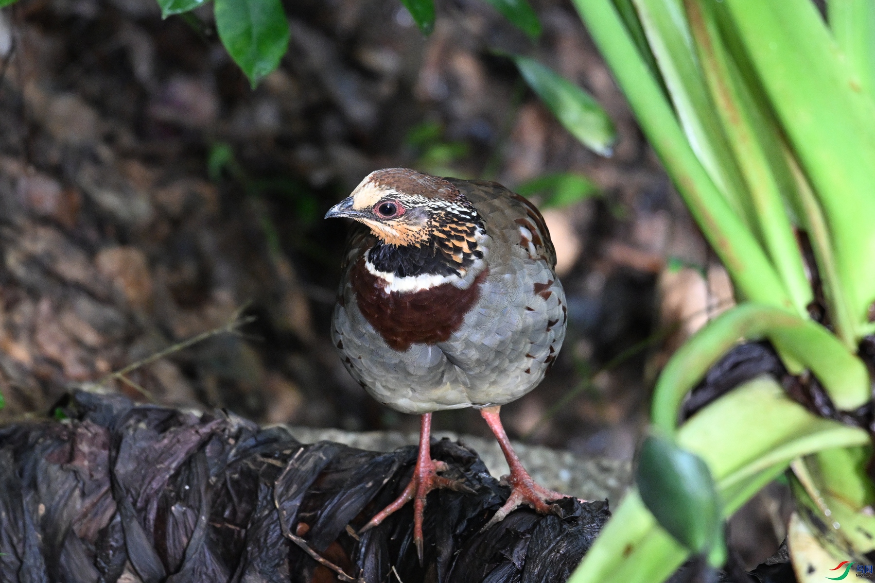 DSC_3770.JPG