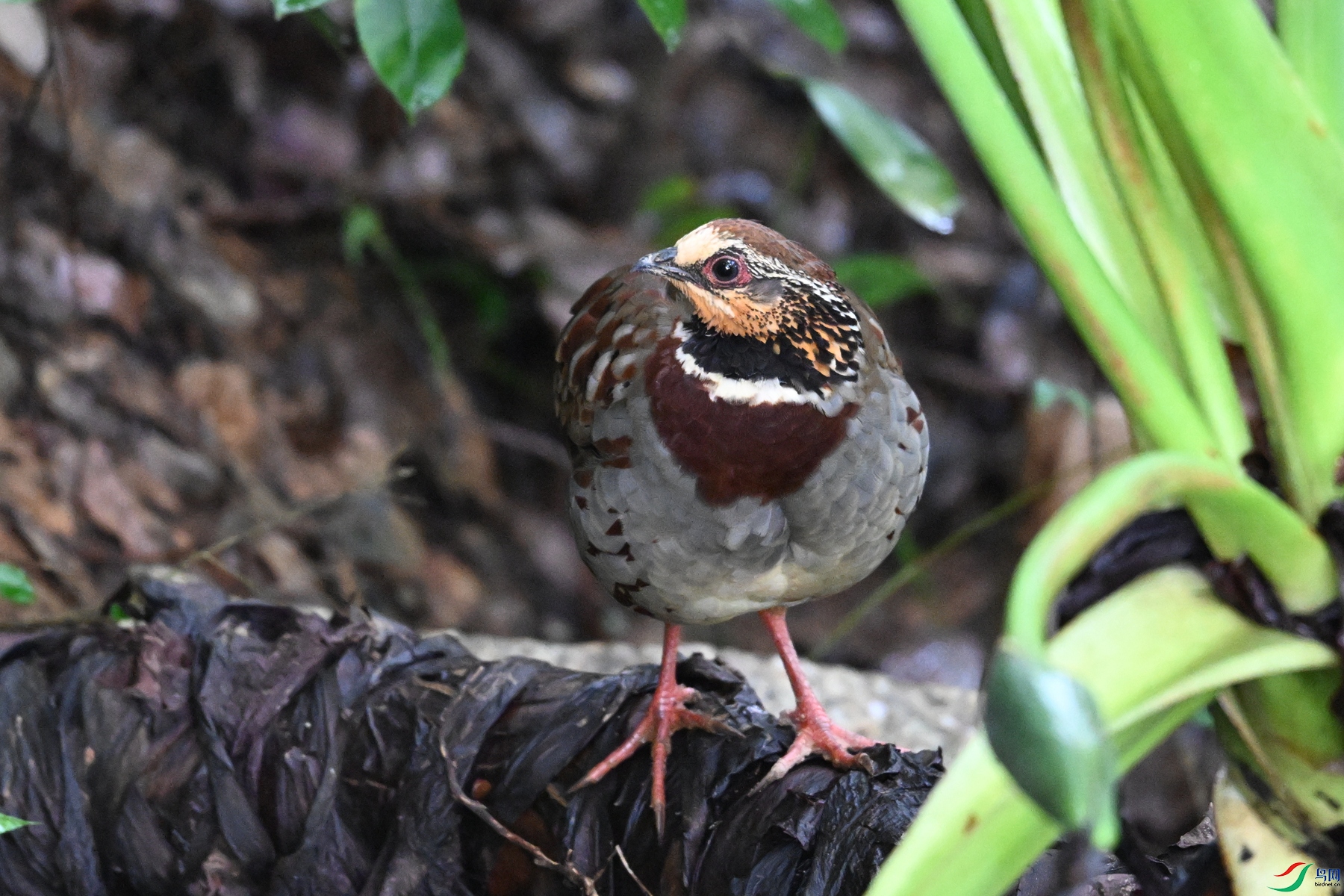 DSC_3725.JPG