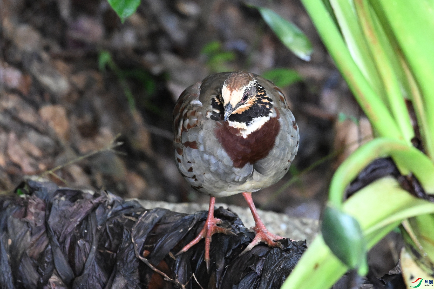 DSC_3757.JPG
