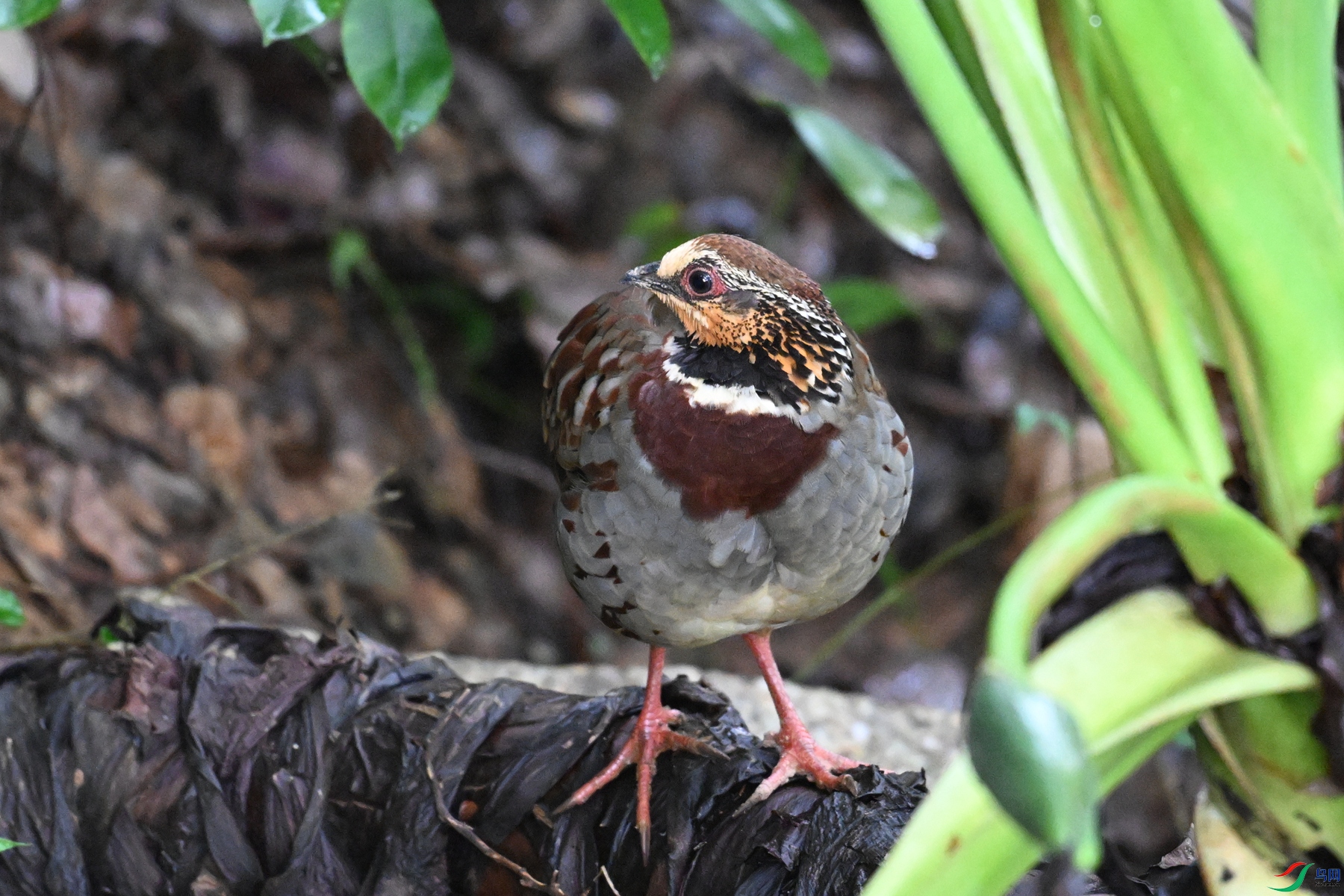 DSC_3728.JPG