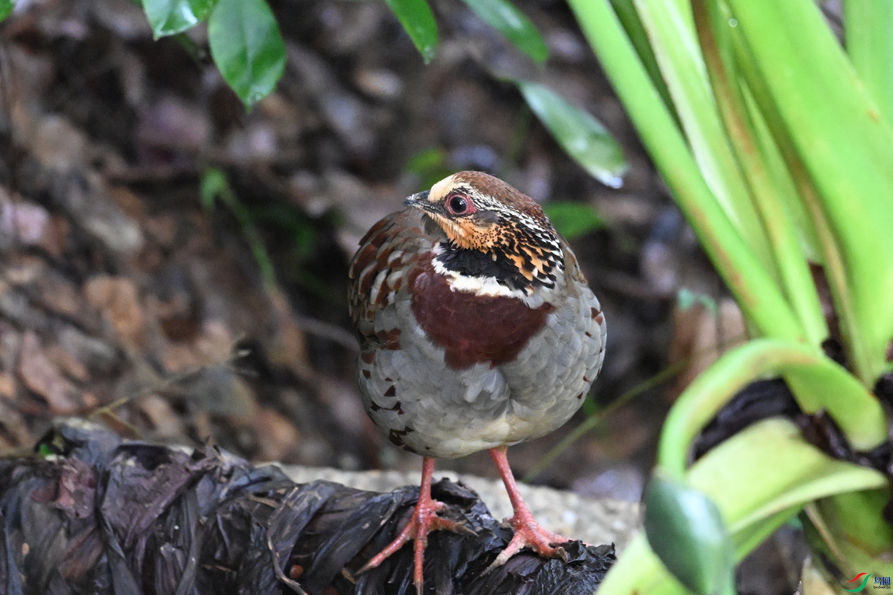 DSC_3730.JPG