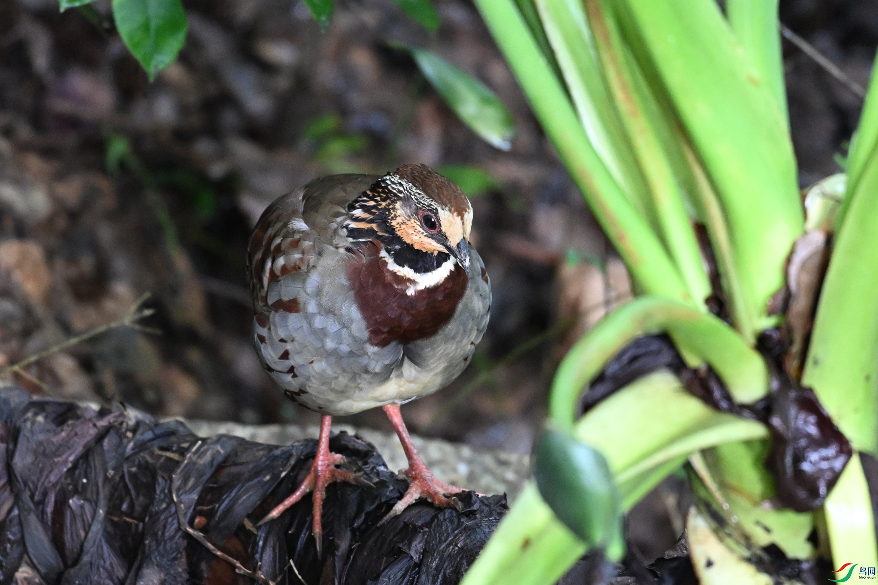 DSC_3763.JPG