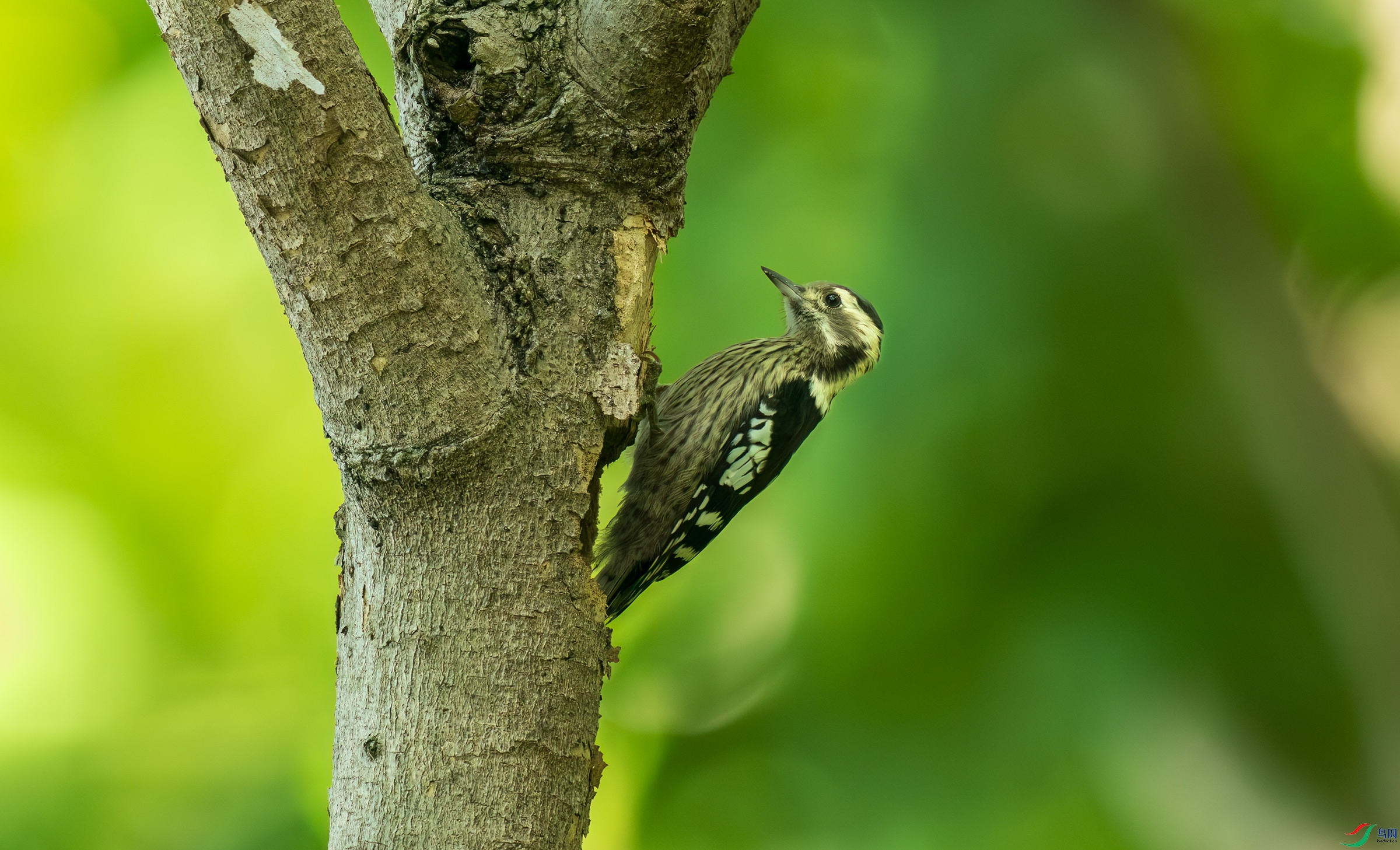 DSC_9145.jpg