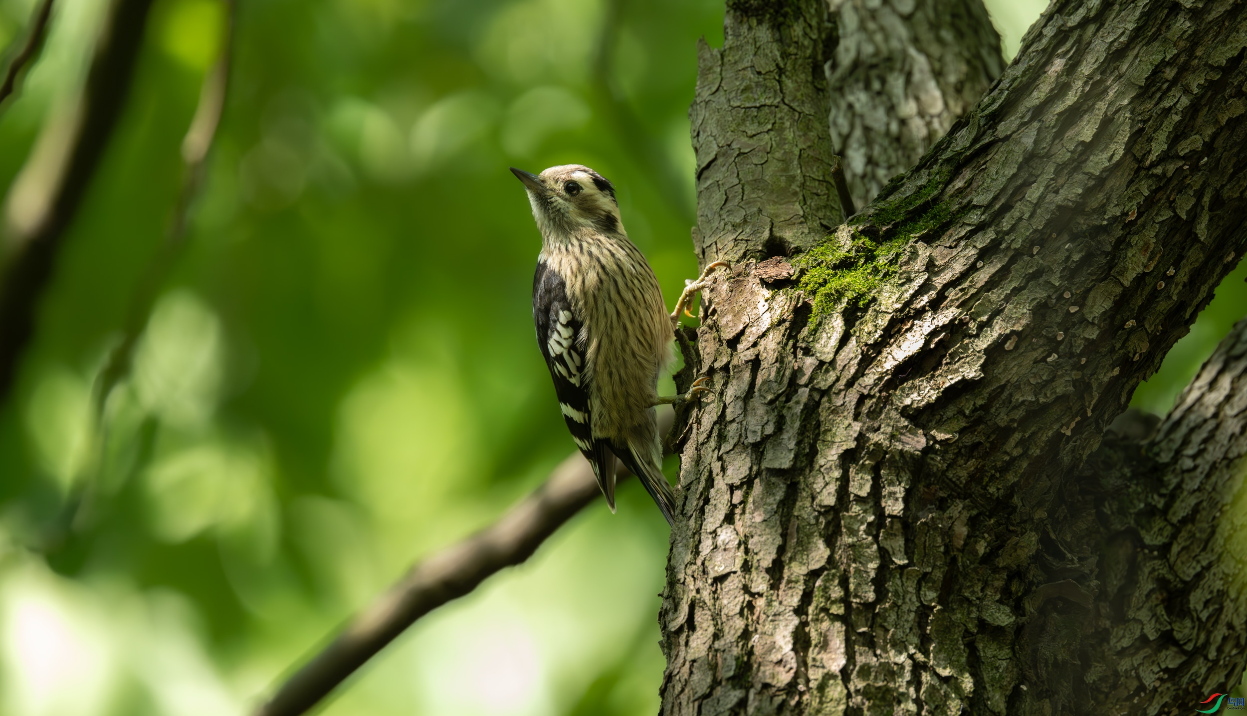DSC_9422.jpg