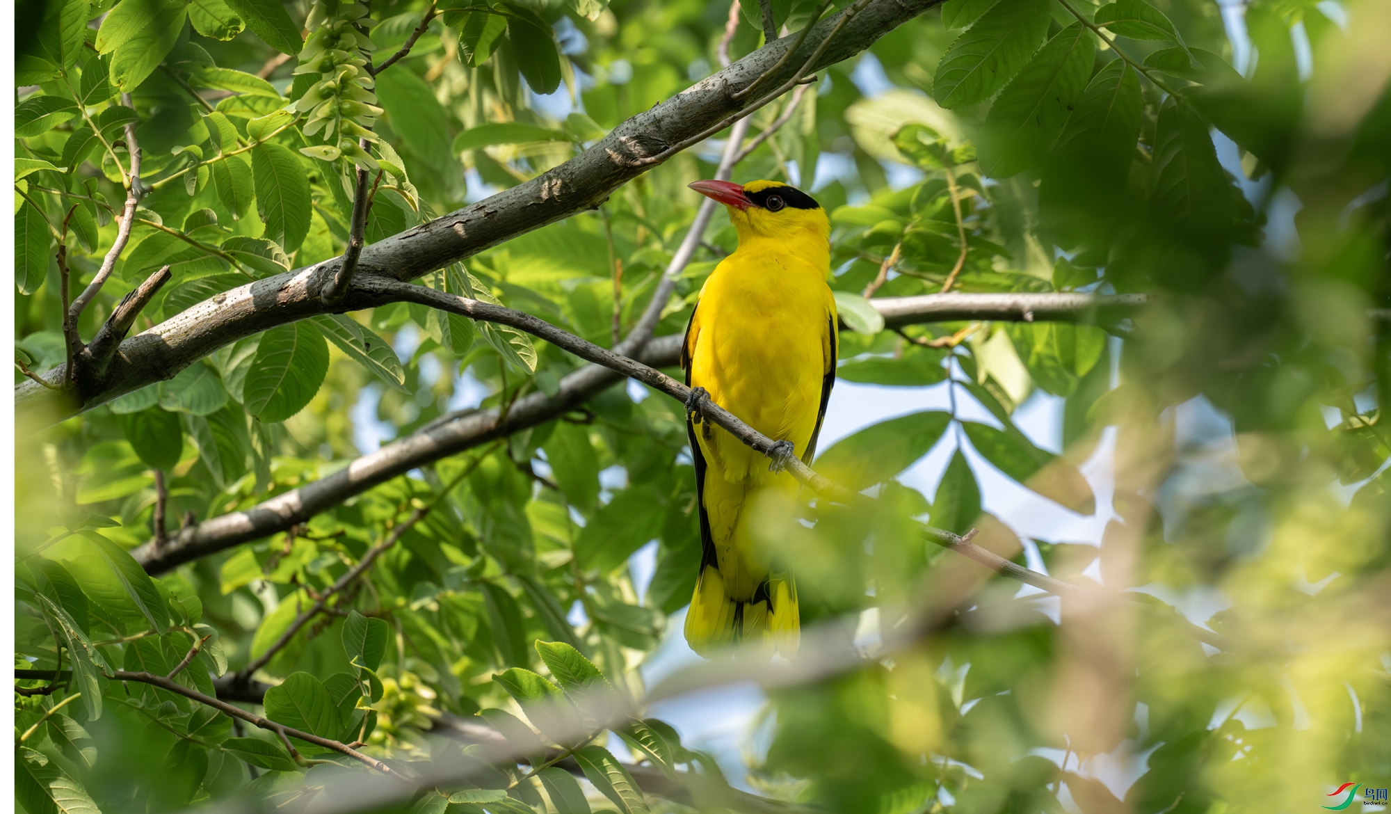 DSC_8768.jpg