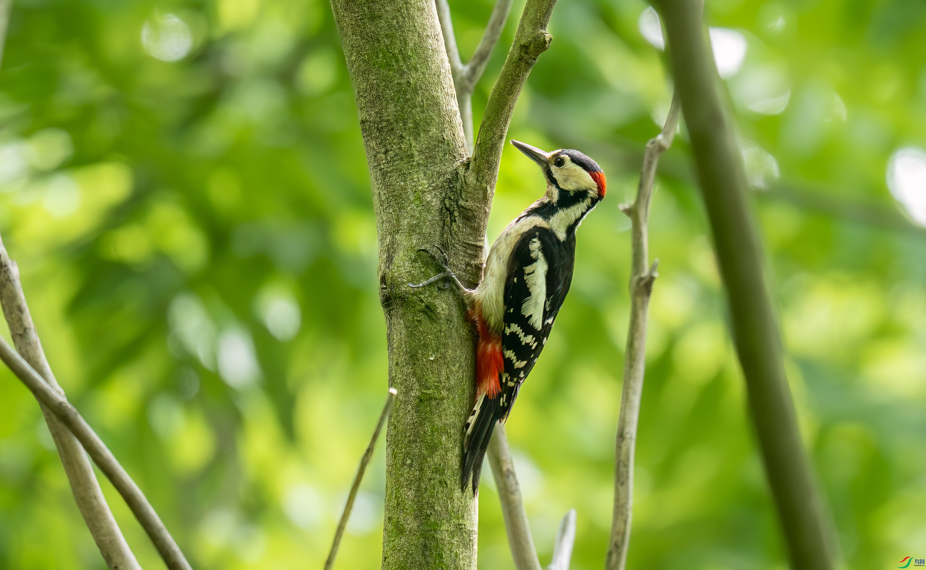 DSC_8005.jpg