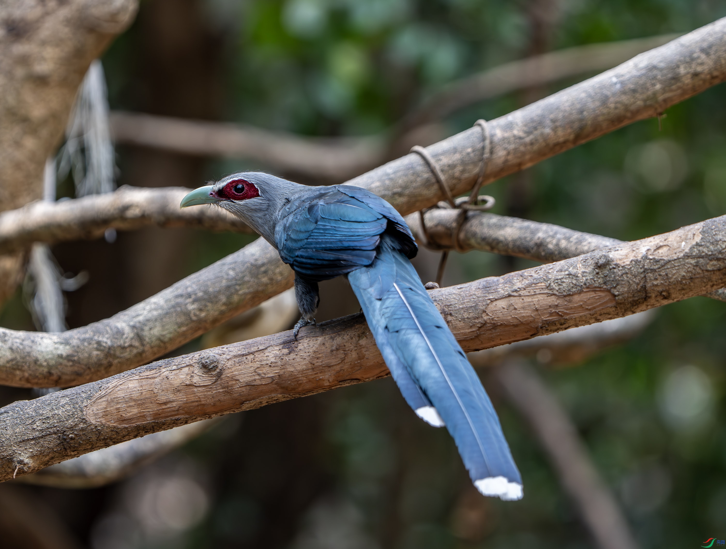 ����ؾ�-18.jpg