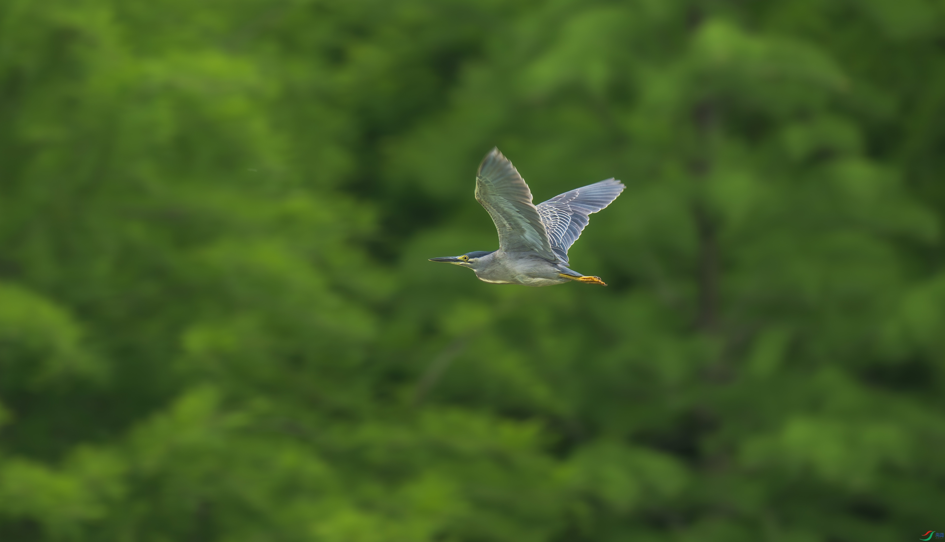DSC_8599.jpg