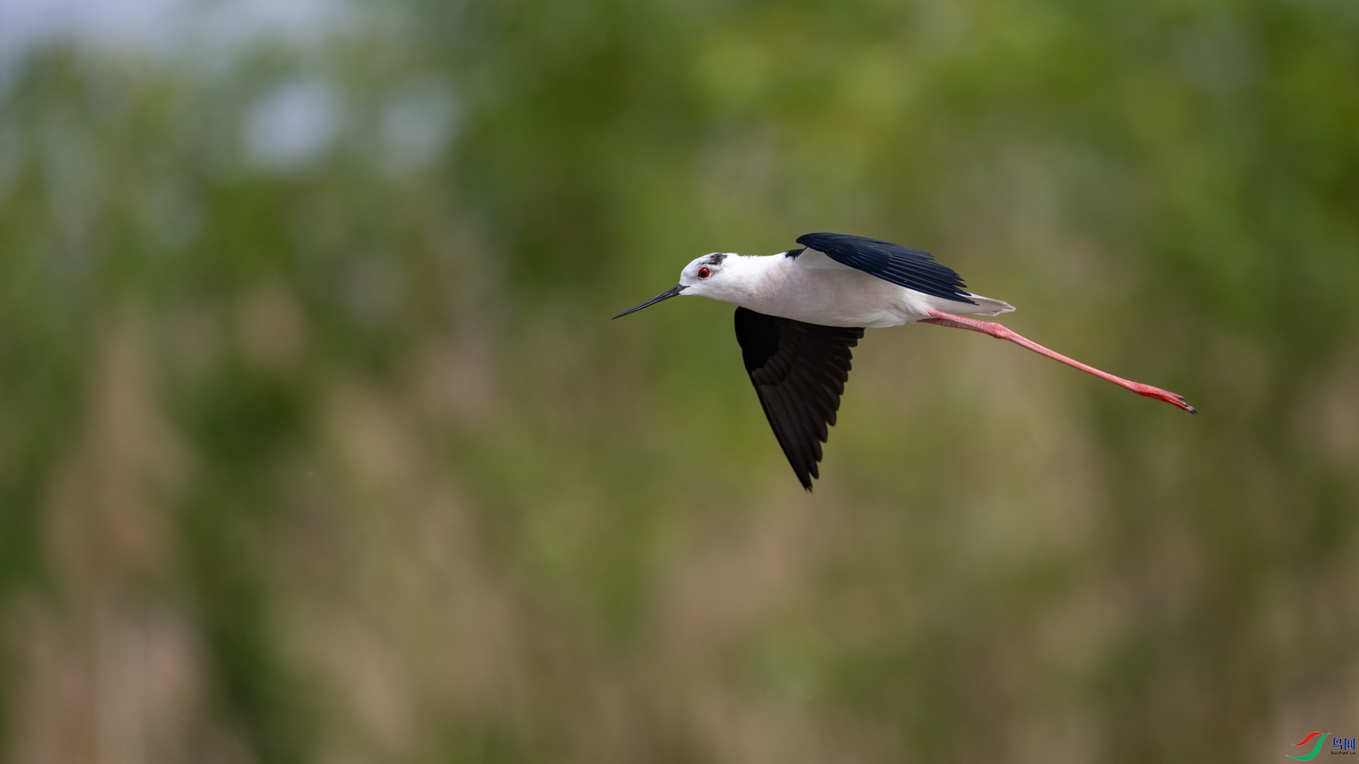a_321817.jpg