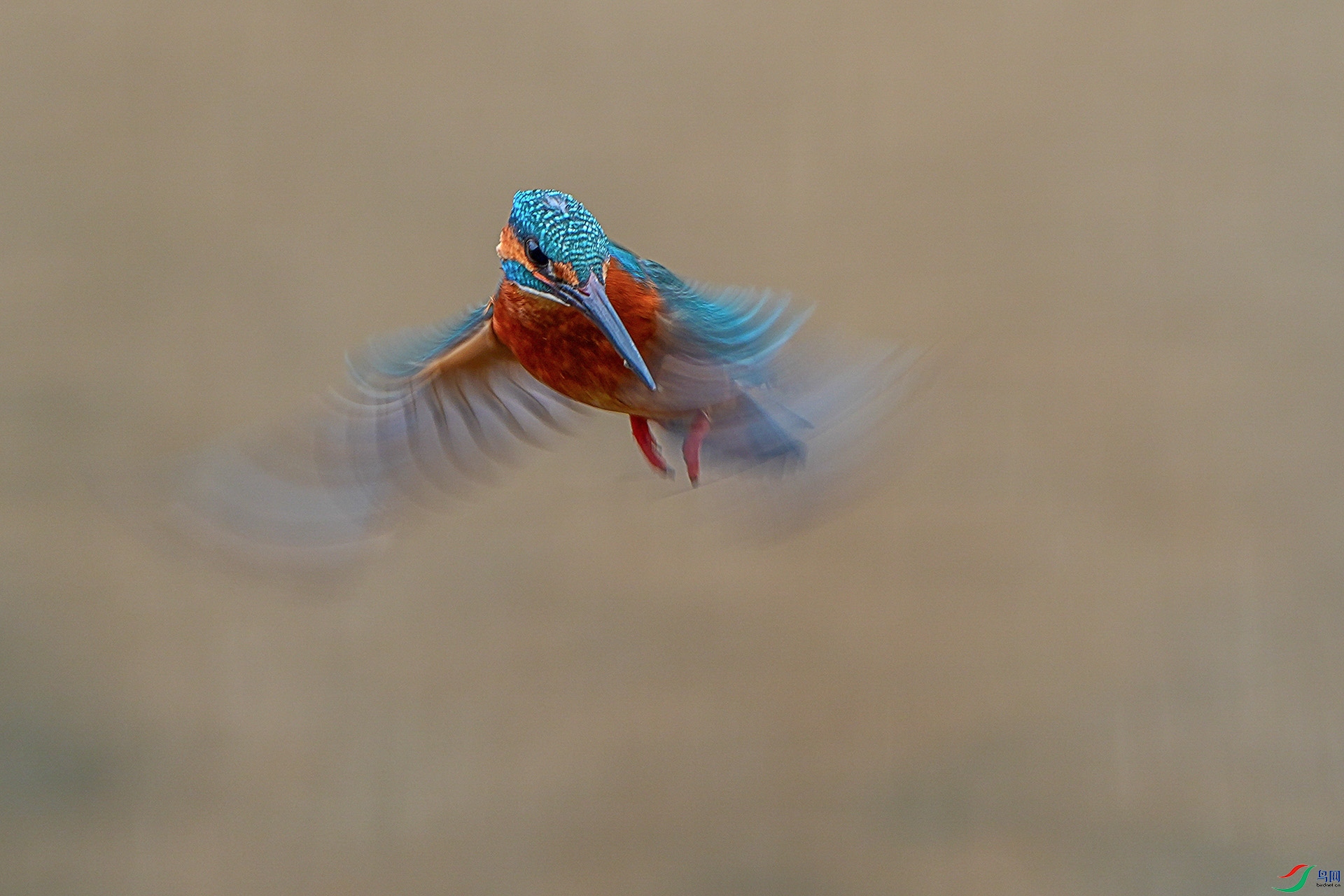 DSC03571-2.jpg